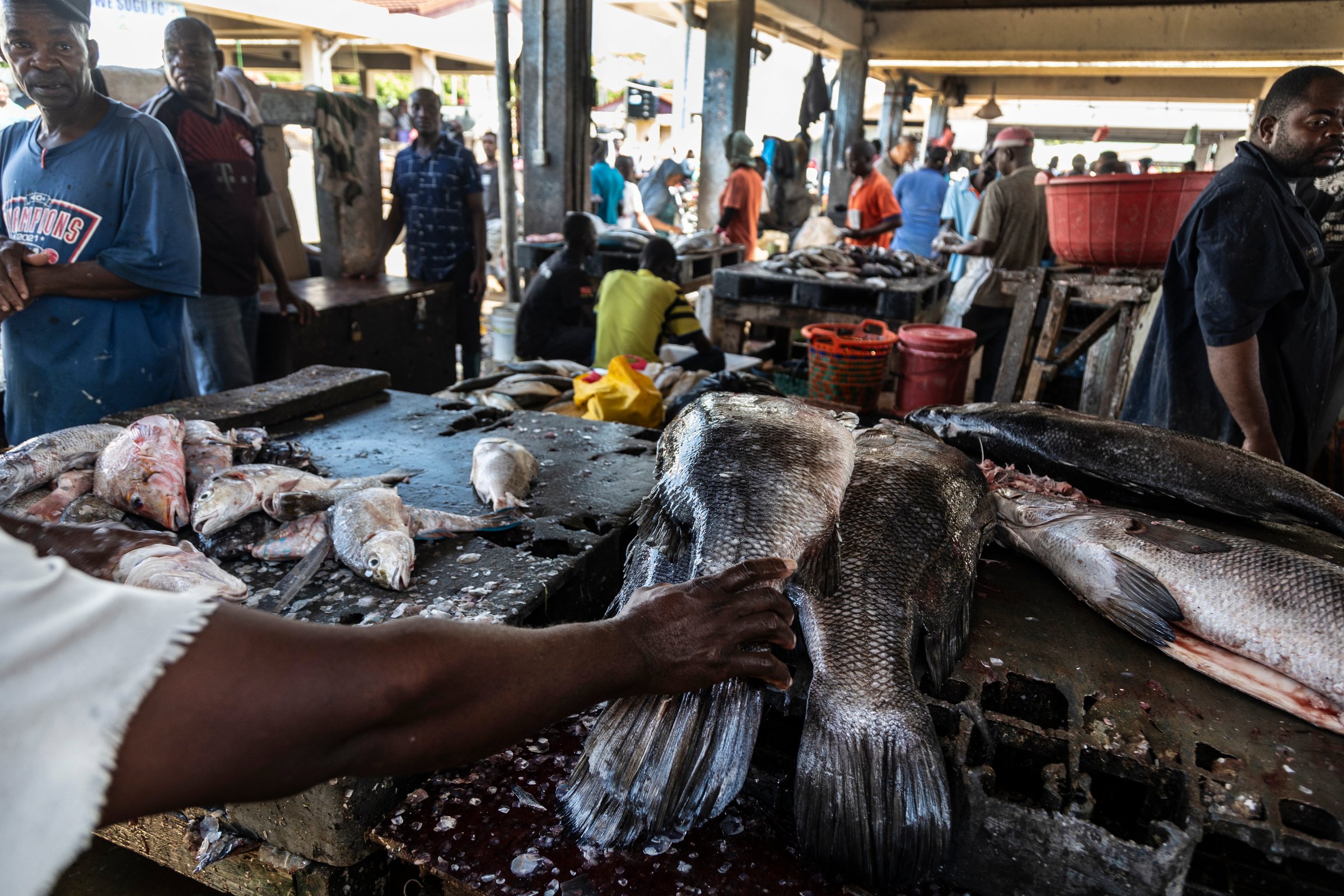 Marché aux poissons de Kivukoni, à Dar es-Salaam (janvier 2025).