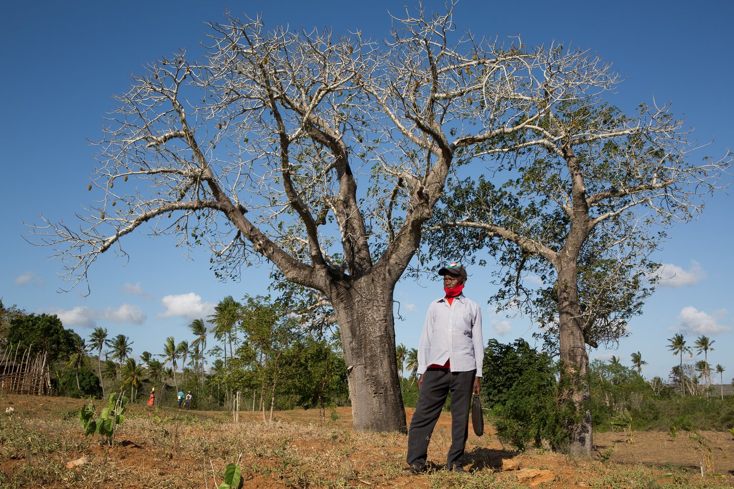 Sebastian Castelier / Afrique XXI