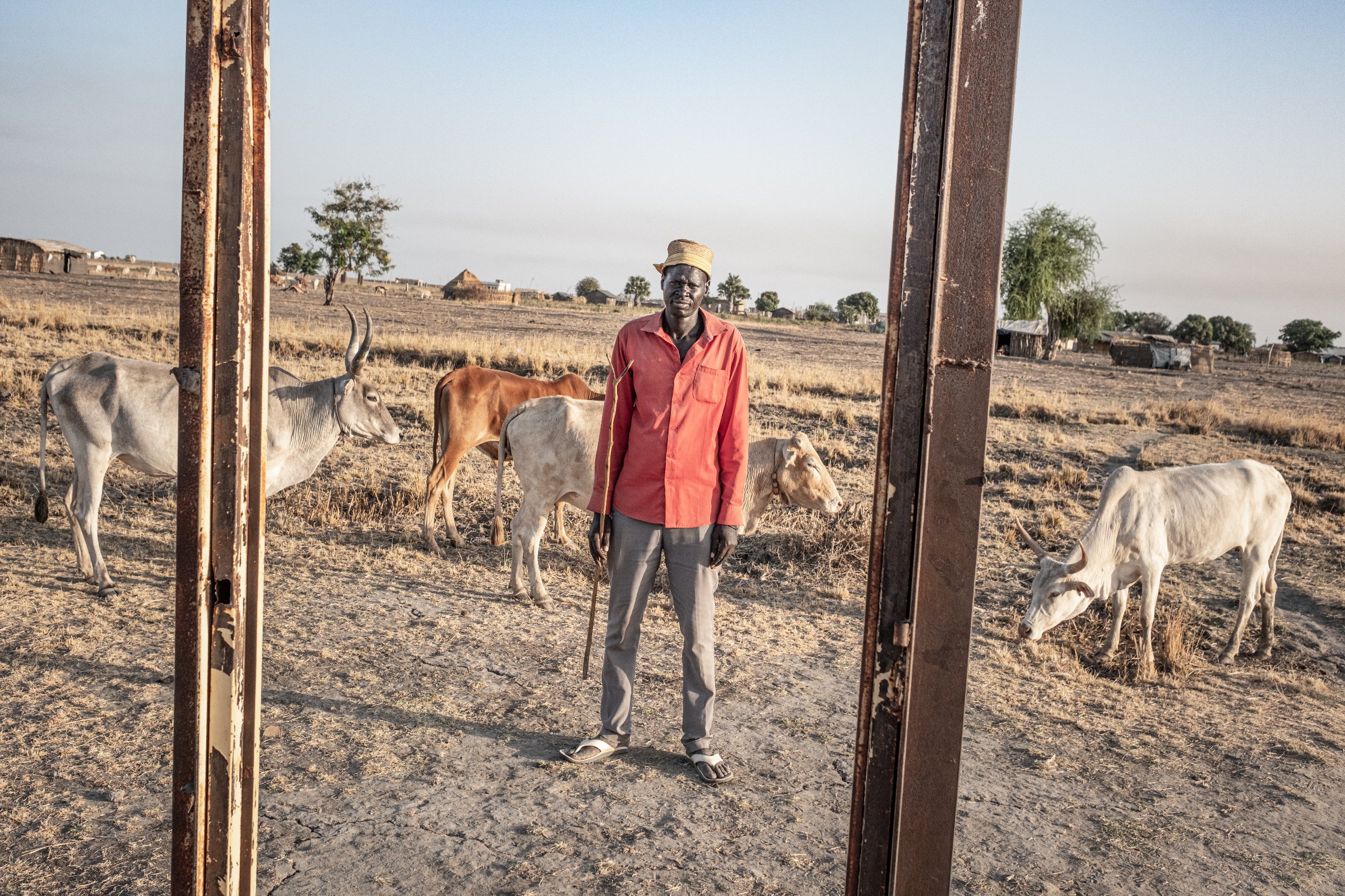Gabriel Mayoi, l'un des rares éleveurs encore présents dans la périphérie de Bentiu, pose auprès des quelques bovins qui lui restent. Comme beaucoup d'autres familles, il a perdu une grande partie de son troupeau au cours des dernières années. État d'Unité, Soudan du Sud, mars 2026.