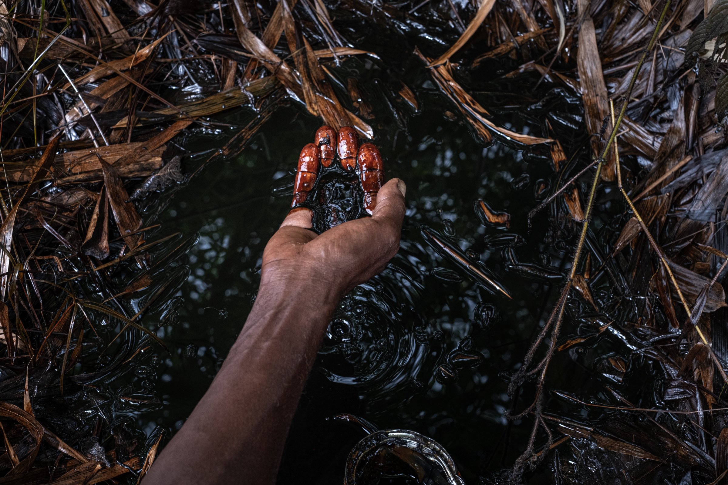 Flaque de pétrole provoquée par un sabotage du pipeline Trans Niger le 5 avril 2025, à la frontière entre les communautés d'Ogale et de Mogho, Ogoniland, Rivers State, Nigeria.