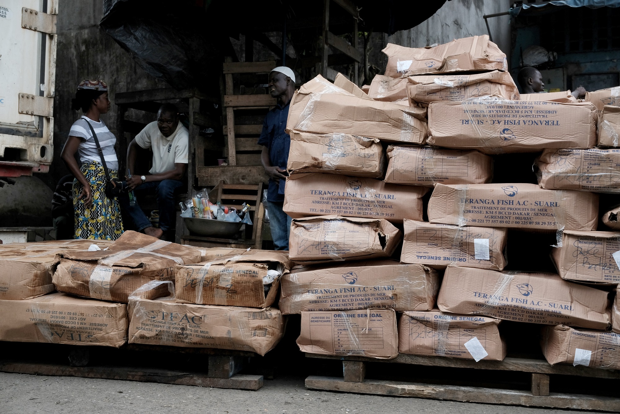 Des cartons de poisson congelé en attente de livraison. Port de pêche d'Abidjan, 2024.