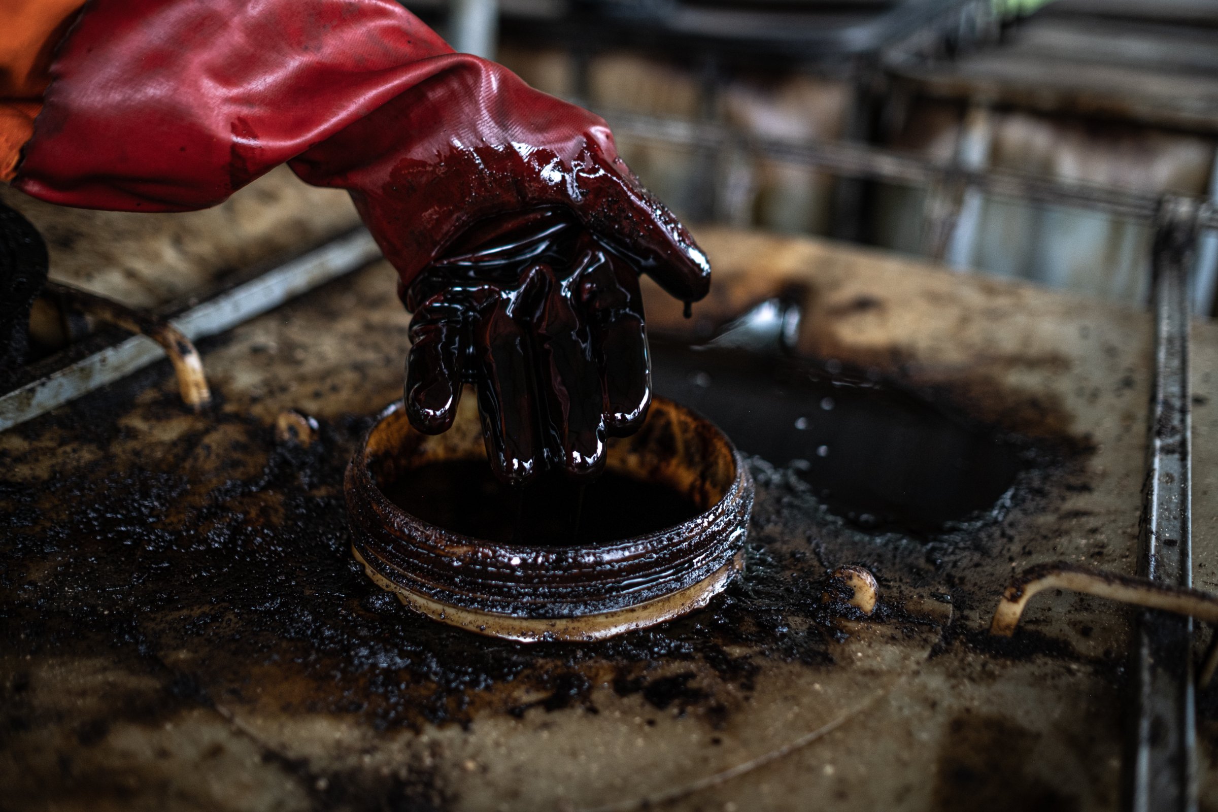 Un ouvrier de l'Hyprep montre le pétrole séparé du sol et des nappes phréatiques après de longs et difficiles processus de dépollution. En Ogoniland, Rivers State, Nigeria.