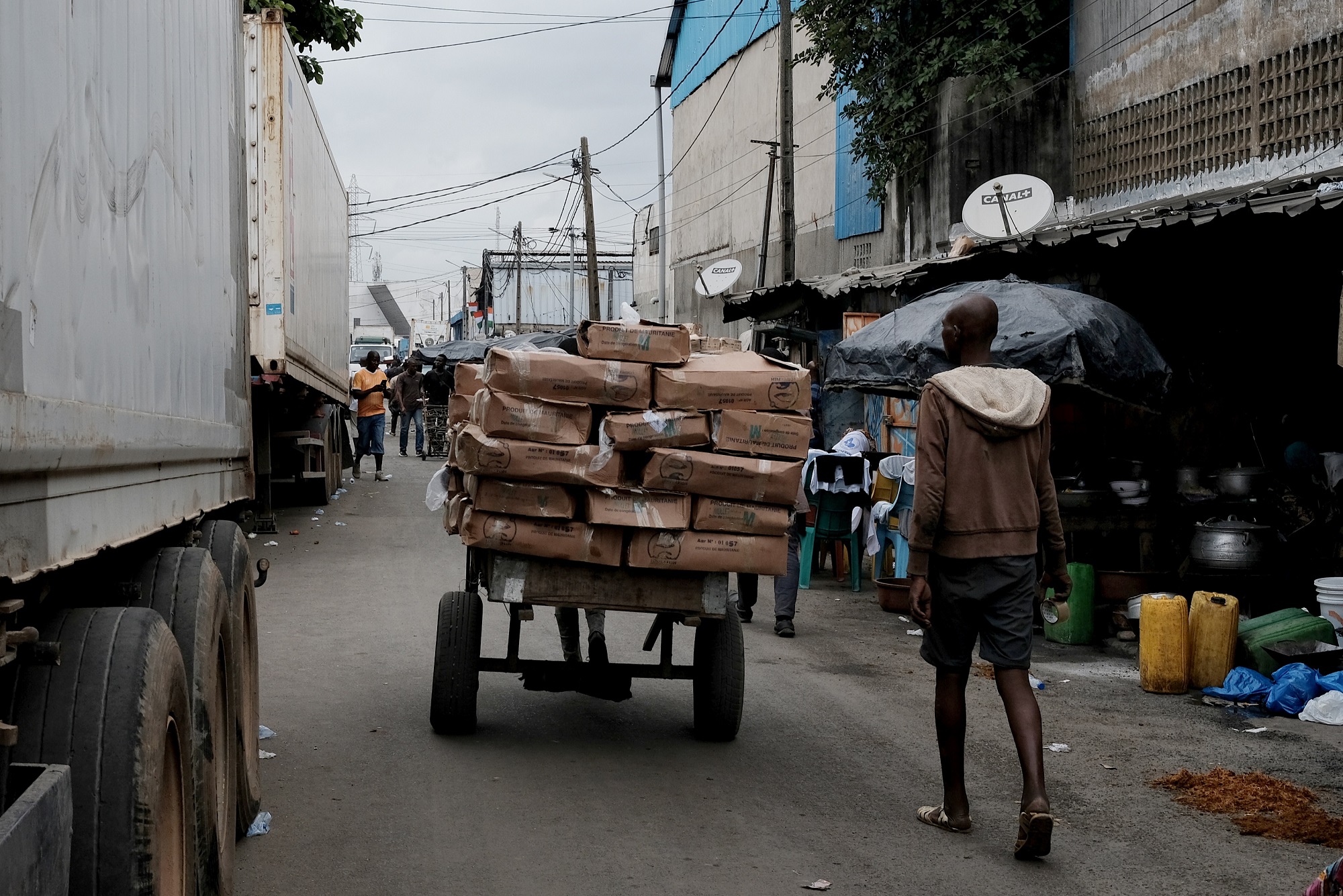 Une charrette transporte des cartons de poisson congelé en provenance de Mauritanie. Port de pêche d'Abidjan, 2024.