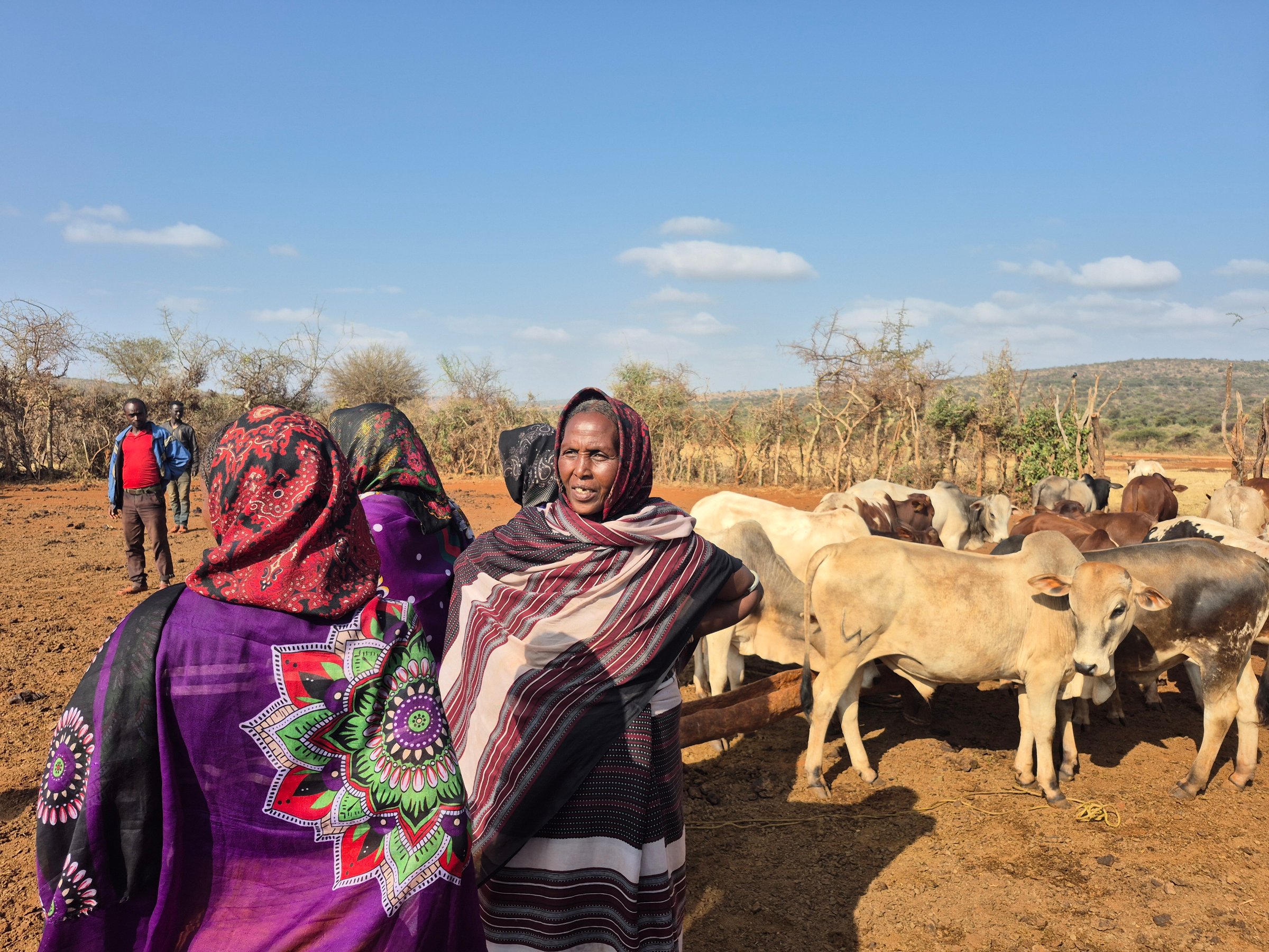 Kule Gayo, à la tête d'une coopérative de vingt-cinq éleveuses, affinera sa stratégie en fonction de la prochaine saison des pluies (plaines du Borana, décembre 2025).