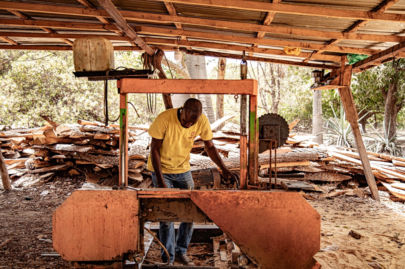 Yaya Thiam coupe des planches à partir de troncs d'arbres, en partie pour l'exportation, en partie pour la fabrication de meubles.