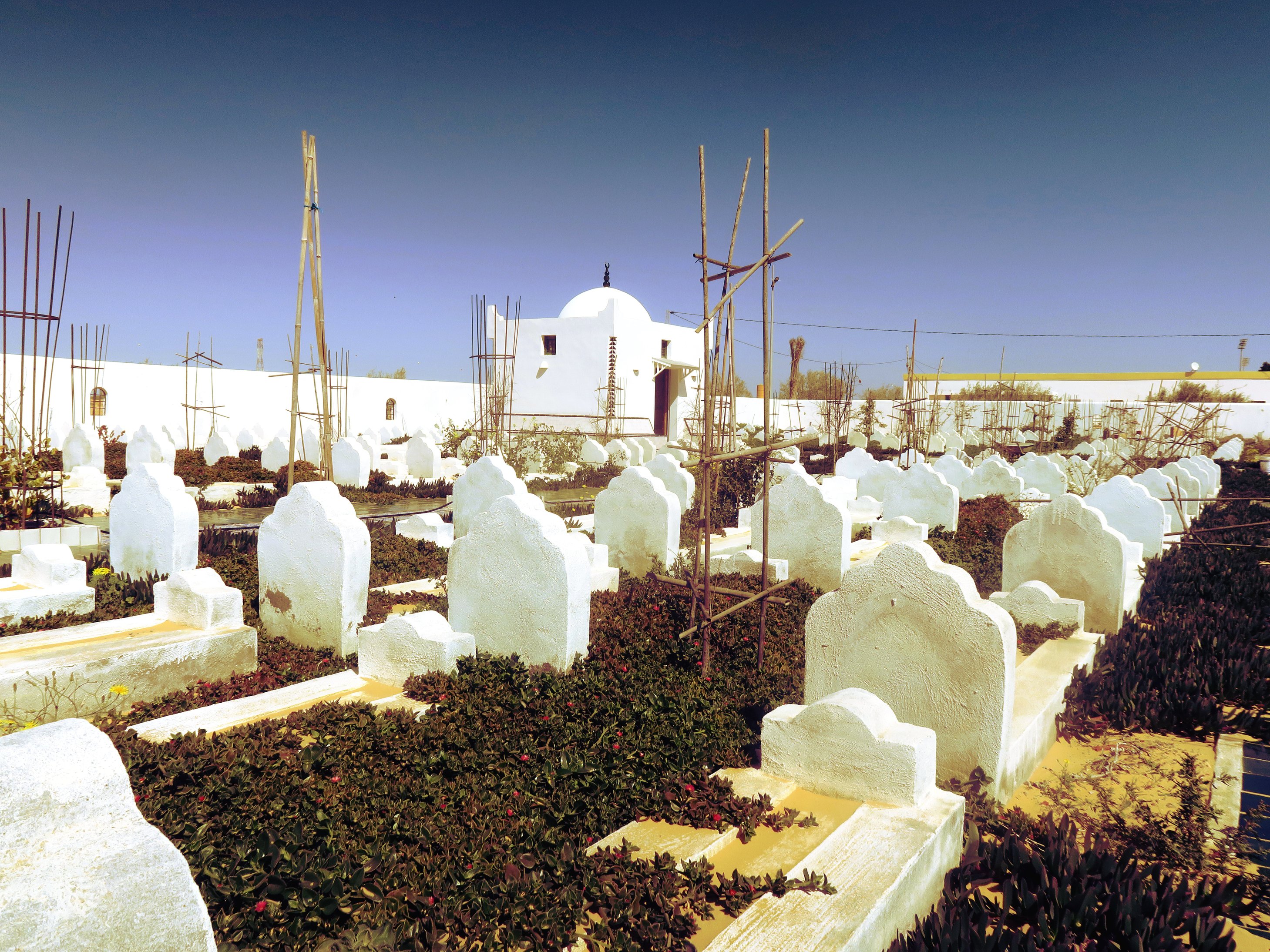 Le cimetière « Jardin d'Afrique », en périphérie de Zarzis, dit aussi « Paradis d'Afrique ».
