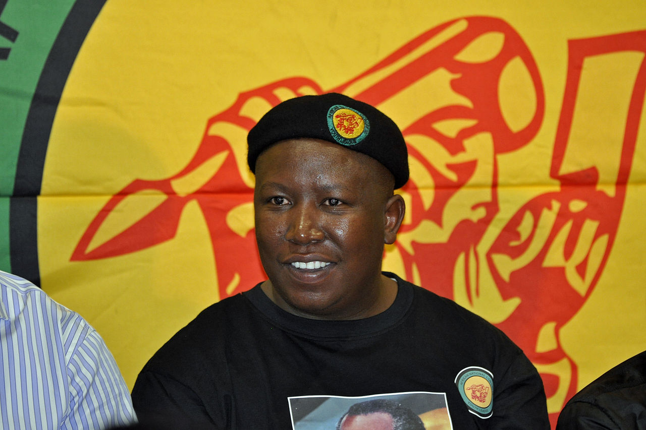 Julius Malema en 2011.
