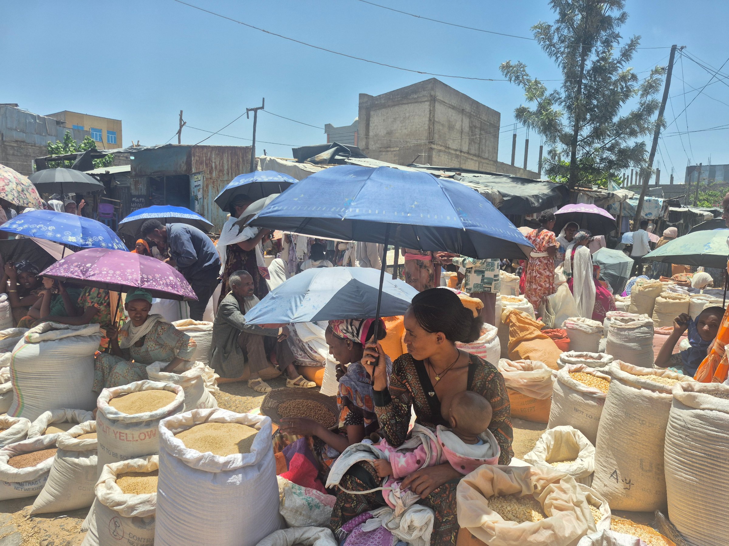 Les commerçants de ce marché de Shire, au Tigray, redoutent une nouvelle guerre.