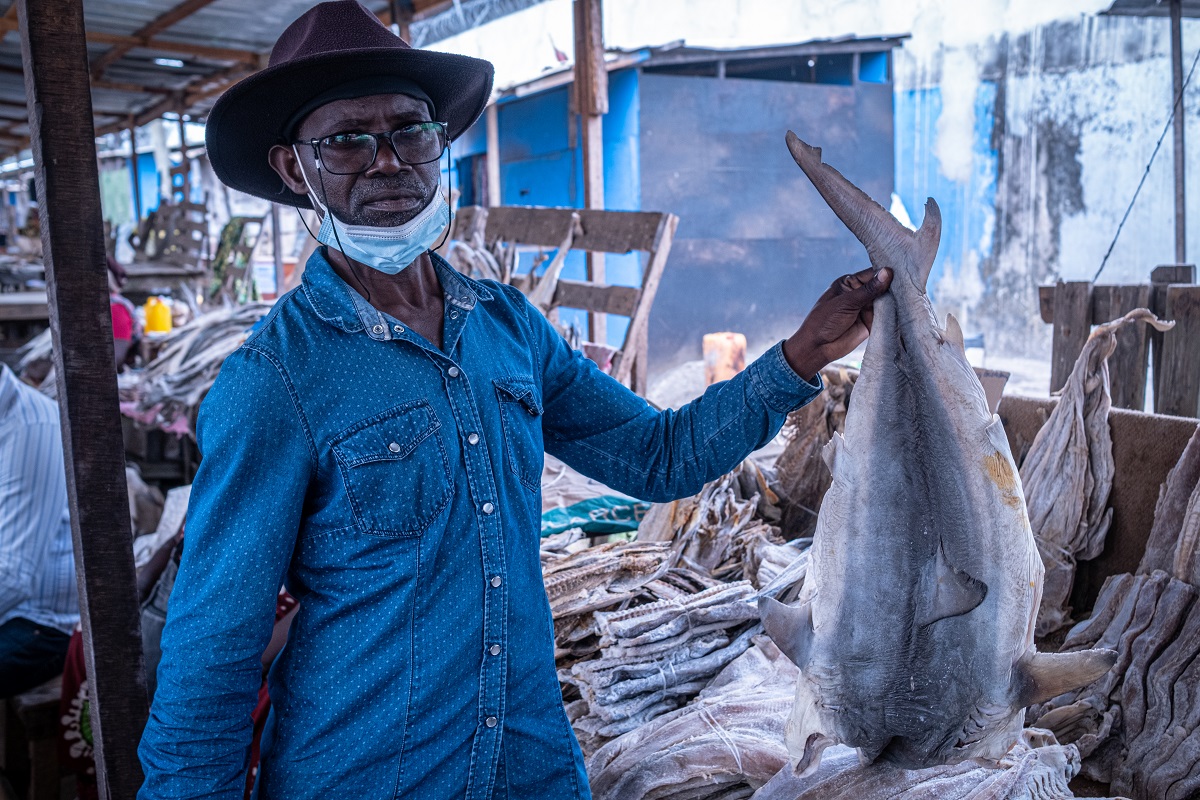 Jean-Michel Dziengue, militant congolais pour l'environnement, montre un requin vendu séché au marché « Oui » (12 août 2021).