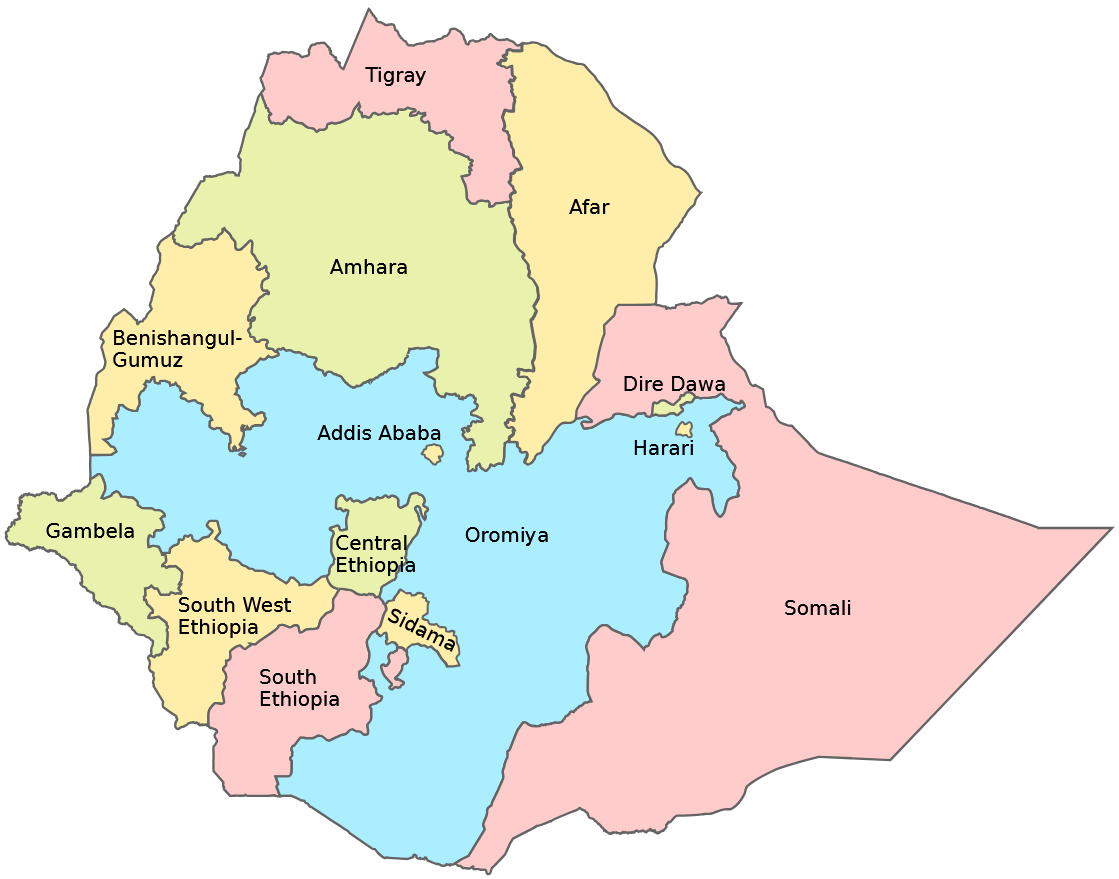 The main fighting is taking place in southern Tigray, in Afar and in the Amhara region.