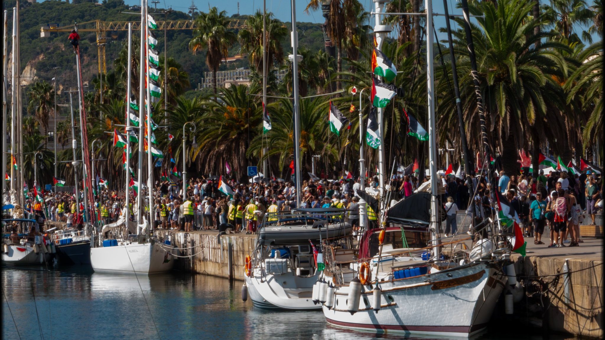 The image shows a vibrant waterfront scene filled with several boats docked along a harbor. There are tall palm trees lining the shore, contributing to a tropical atmosphere. A large crowd of people can be seen gathered by the boats, many waving flags, suggesting a festive or celebratory event. The flags feature various colors and designs, indicating a sense of community or national pride. In the background, there are green hills and possibly some buildings, adding depth to the setting. The overall mood appears to be lively and cheerful, with bright sunlight illuminating the scene.