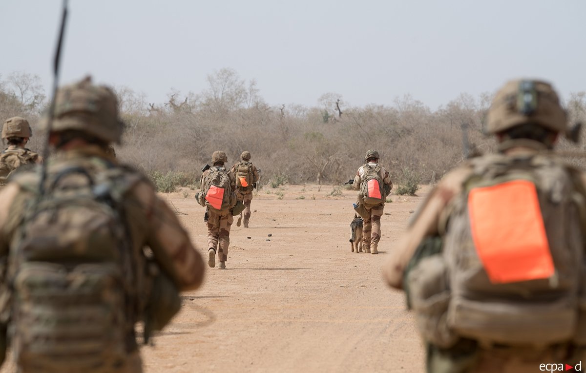 L'image représente un groupe de soldats marchant sur un terrain désertique. Ils avancent en formation, avec des sacs à dos sur le dos et des gilets militaires. Certains d'entre eux portent des dossards orange vif qui se distinguent dans le paysage aride. À côté d'un des soldats, un chien accompagne le groupe. L'environnement est sec, avec quelques arbres épars en arrière-plan et un ciel clair. L'atmosphère semble sérieuse et déterminée.
