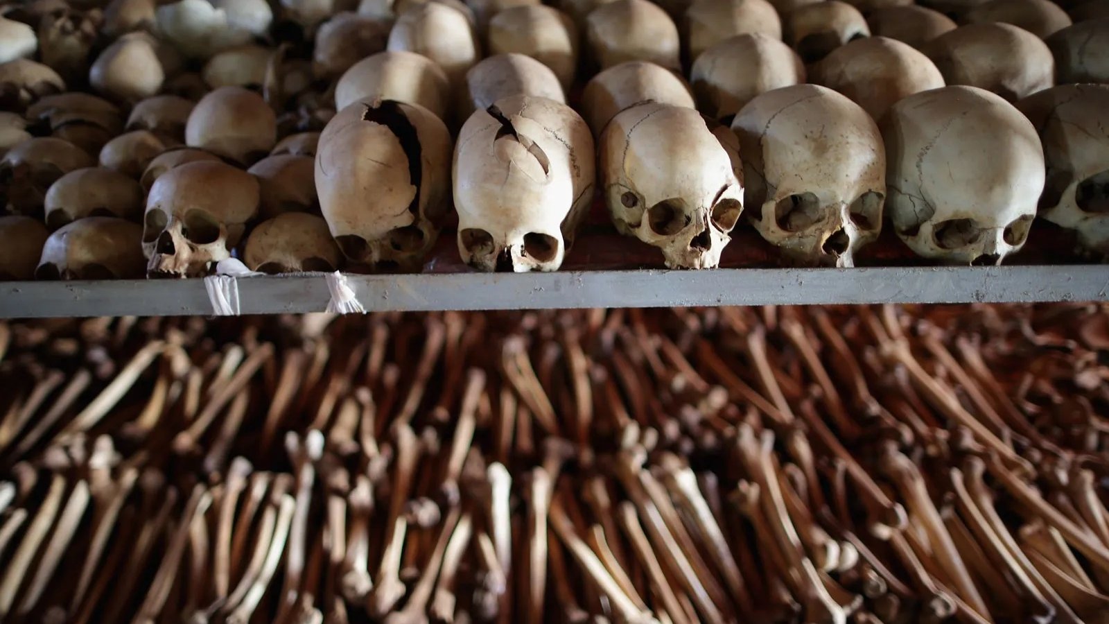L'image montre un ensemble de crânes humains disposés sur une étagère, alignés les uns à côté des autres. Les crânes sont de couleur crème, certains présentent des fissures, témoignant du passage du temps. En dessous des crânes, on peut apercevoir une vaste collection d'os longs, probablement des os des bras et des jambes, également organisés en rangées. L'atmosphère de l'image est sombre et solennelle, évoquant un lieu de mémoire ou un site historique lié à la mort et à la mémoire des défunts.