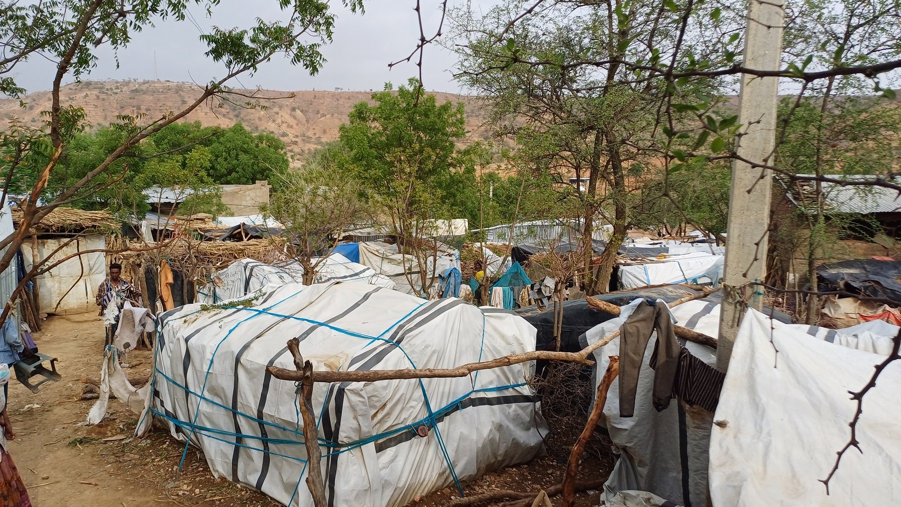 L'image montre un espace de vie informel composé de plusieurs habitations temporaires. Les maisons sont construites avec des matériaux comme des bâches blanches, des morceaux de toile et des branches, ce qui leur donne un aspect rustique. On peut voir des vêtements accrochés à l'extérieur, indiquant la présence des habitants. Le paysage environnant est légèrement vallonné, avec des collines en arrière-plan et de la végétation sporadique, notamment des arbres. Le ciel est nuageux, créant une ambiance calme mais légèrement mélancolique. Ce milieu semble être une communauté où la vie quotidienne se déroule dans un cadre naturel.