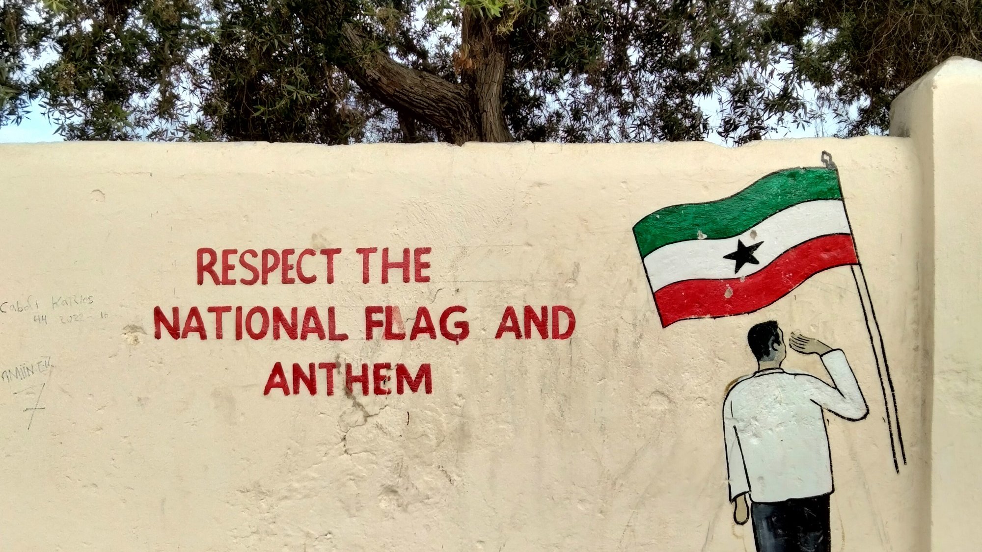 L'image représente un mur peint. Sur ce mur, on aperçoit une illustration d'un homme en train de saluer tandis qu'il tient un drapeau. Ce drapeau, qui est représenté avec des couleurs distinctes, est celui de la région de Somaliland, avec une étoile au centre. À côté de cette illustration, un message est écrit en lettres rouges : "RESPECT THE NATIONAL FLAG AND ANTHEM." La scène est entourée d'un décor naturel, avec des arbres qui ajoutent une touche de verdure à l'environnement. L'atmosphère semble à la fois respectueuse et patriotique.