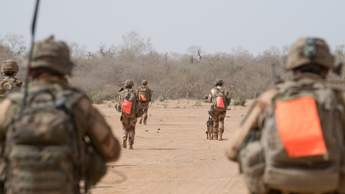 L'image représente un groupe de soldats marchant sur un terrain désertique. Ils avancent en formation, avec des sacs à dos sur le dos et des gilets militaires. Certains d'entre eux portent des dossards orange vif qui se distinguent dans le paysage aride. À côté d'un des soldats, un chien accompagne le groupe. L'environnement est sec, avec quelques arbres épars en arrière-plan et un ciel clair. L'atmosphère semble sérieuse et déterminée.