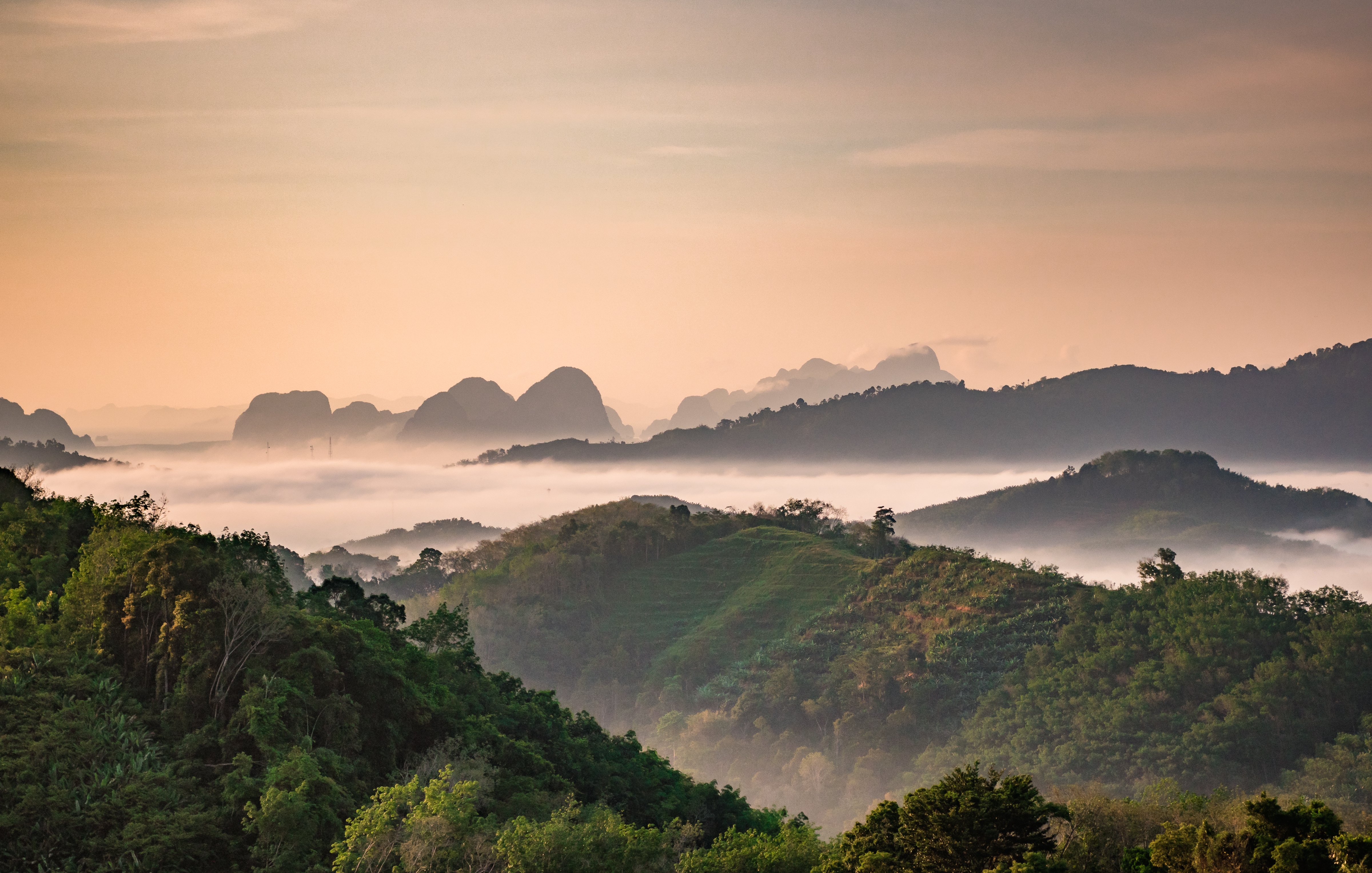 Imaginez un panorama majestueux au lever du soleil, où des collines verdoyantes s'étendent à perte de vue. Les ondulations des montagnes se dessinent doucement à l'horizon, se fondant dans une brume légère qui enveloppe le paysage. Les couleurs du ciel passent des teintes douces de rose et d'orange, créant une atmosphère paisible et sereine. La verdure des arbres et des plantes forme un contraste vivant avec la douceur des nuages. L'ensemble évoque un sentiment de tranquillité, comme si la nature se réveillait lentement sous l'éclat du jour.