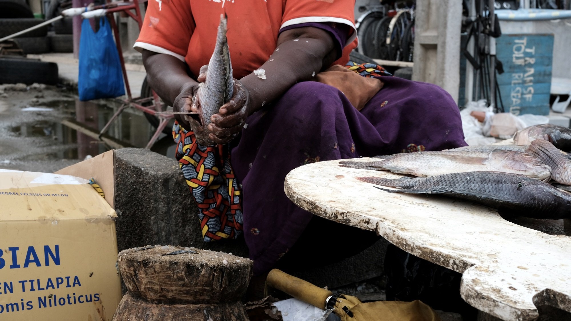 L'image montre une femme qui travaille au marché, tenant un poisson dans ses mains. Elle porte un t-shirt orange et une jupe colorée. À côté d'elle, un tabouret en bois est visible, ainsi qu'une table sur laquelle se trouvent d'autres poissons. Le sol est recouvert de morceaux de glace et des déchets de poisson. En arrière-plan, on peut voir des boîtes et des objets typiques d'un marché, créant une ambiance animée et dynamique. Les détails de l'environnement indiquent un marché de produits frais, avec des textures variées et des odeurs marines.