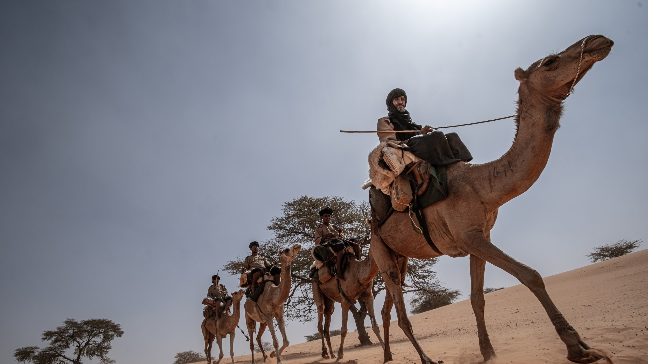 Dans cette image, on voit un groupe de personnes traversant un paysage désertique. Ils sont assis sur des chameaux, marchant lentement sur des dunes de sable. Le ciel est lumineux, presque sans nuages, et le soleil projette des ombres douces sur le sol. À l'arrière-plan, quelques arbres solitaires émergent du sable, ajoutant une touche de verdure à l'environnement aride. Les cavaliers portent des vêtements traditionnels, et certains tiennent des bâtons. L'ambiance de la scène évoque l'aventure et l'exploration dans un cadre naturel et spectaculaire.