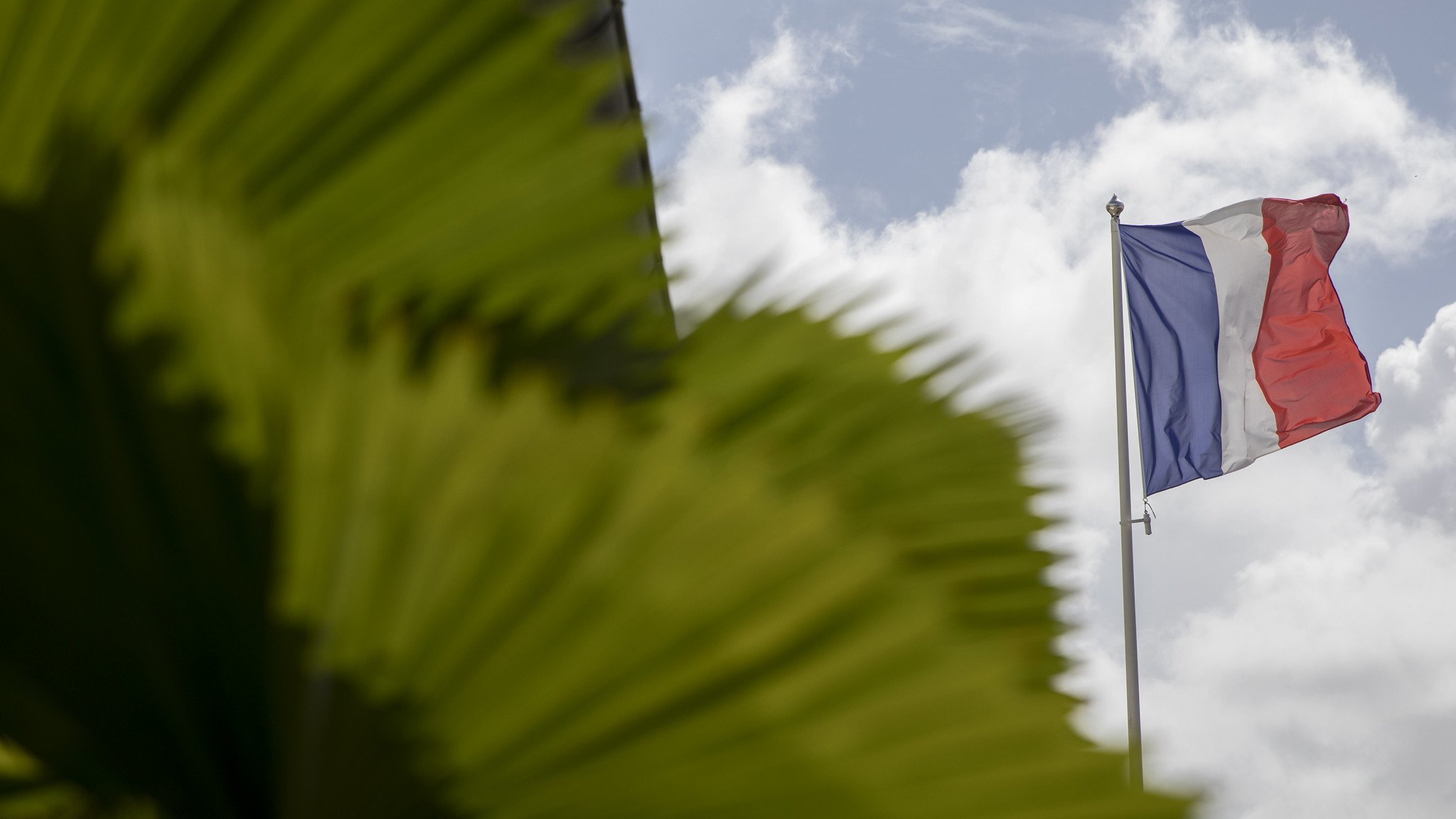 L'image présente un drapeau français flottant au vent. Le drapeau est tricolore, composé de trois bandes verticales : bleu à gauche, blanc au centre et rouge à droite. En avant-plan, on aperçoit des feuilles vertes luxuriantes, probablement d'une plante tropicale, qui ajoutent une touche de nature et de couleur à la scène. Le ciel est partiellement nuageux, ce qui crée un contraste agréable avec les couleurs vives du drapeau et le vert des feuilles. L'ensemble dégage une atmosphère à la fois nationale et naturelle.