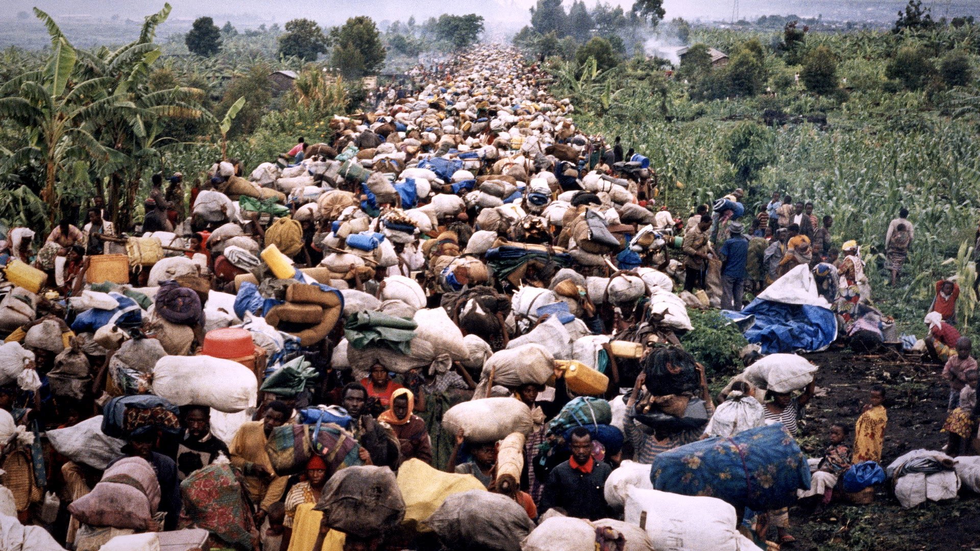L'image montre une scène de déplacement massifs de personnes. Une foule dense de réfugiés marche sur un chemin, transportant de lourdes charges sur le dos et la tête. Les personnes sont entourées de verdure, avec des arbres et des plantations visibles au loin. Les visages des réfugiés reflètent souvent la fatigue et la détermination, tandis que certains portent des vêtements colorés. L'ambiance est marquée par un sentiment de lutte et de solidarité, malgré les conditions difficiles de leur voyage. Le paysage est ombragé par des montagnes en arrière-plan, ajoutant à la profondeur de la scène.