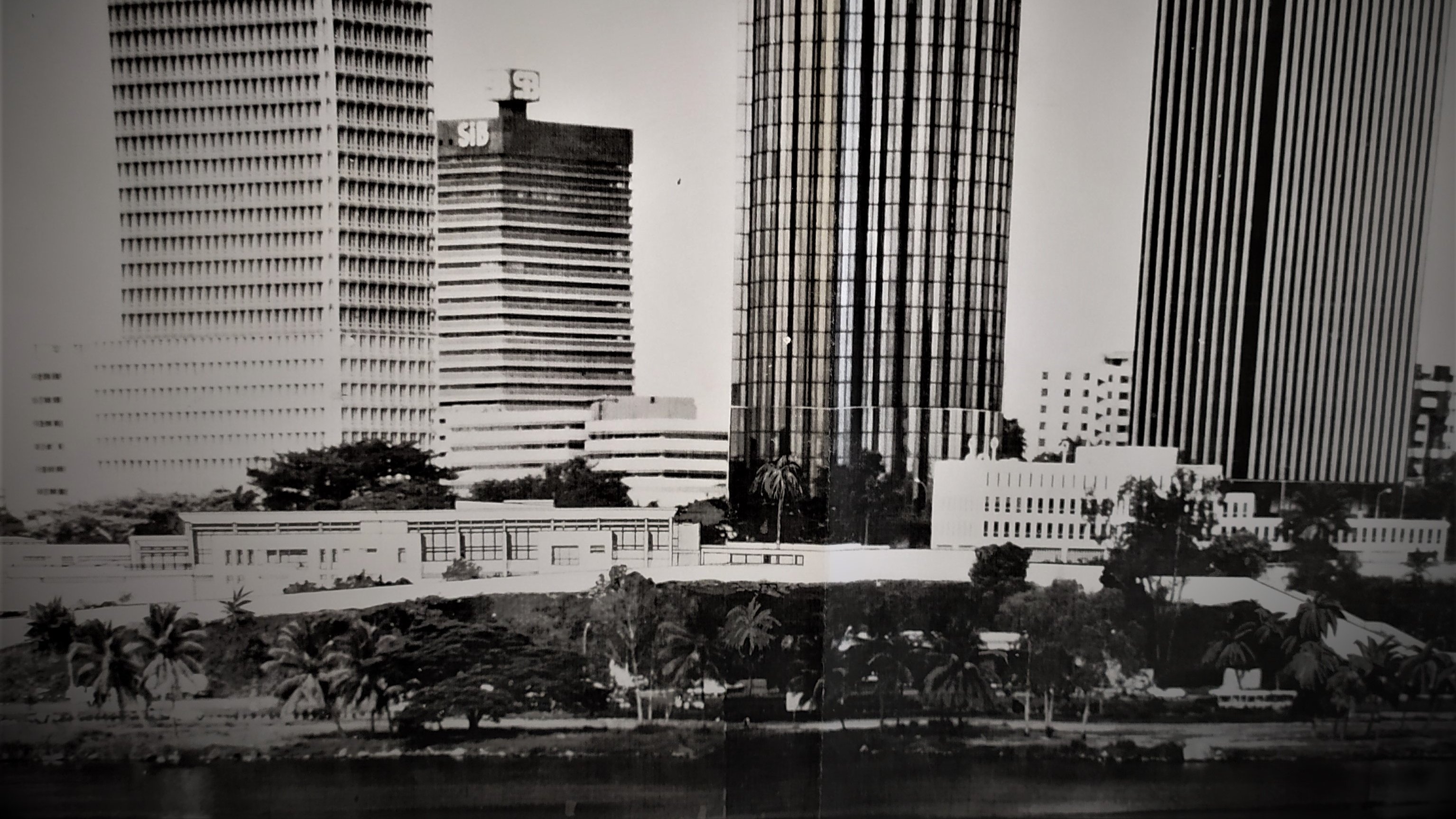 L'image présente un paysage urbain en noir et blanc, mettant en avant plusieurs gratte-ciels modernes. À gauche, on voit un bâtiment rectangulaire avec une surface lisse, tandis qu'un autre, plus haut et avec des fenêtres brillantes, est au centre. À droite, un troisième gratte-ciel, plus fin, se dresse avec des lignes verticales qui accentuent sa hauteur. Au premier plan, on aperçoit une verdure, probablement des palmiers, qui contraste avec la rigueur des bâtiments. L'ensemble dégage une ambiance à la fois dynamique et architecturale.