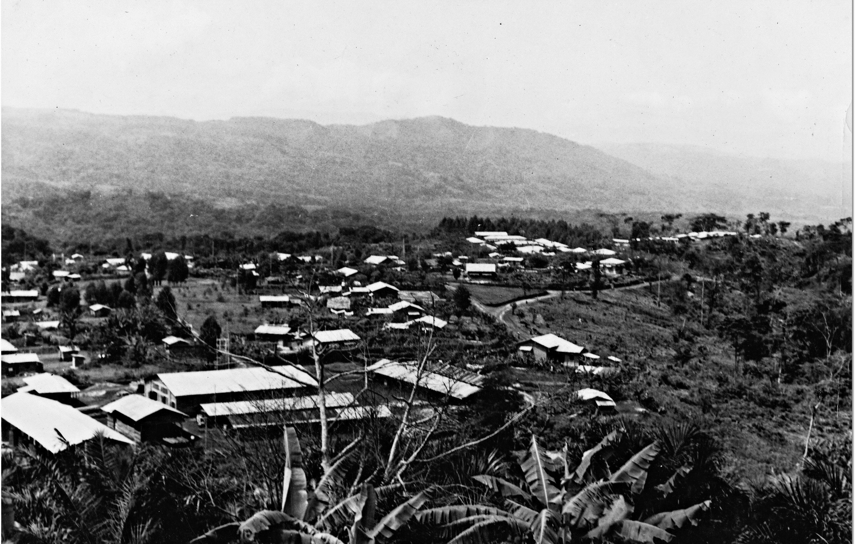 Cette image propose une vue panoramique d'un paysage rural. Au premier plan, on remarque une végétation dense, avec des feuilles larges et des arbres. En arrière-plan, se déploie une vallée avec plusieurs maisons aux toits en tôle, éparpillées sur le terrain. Certaines constructions sont entourées d'arbres et de collines, tandis que les montagnes s'élèvent au loin, créant un contraste avec le ciel. Les nuances de gris de l'image évoquent un atmosphère nostalgique et calme, typique d'une région tranquille, loin du brouhaha urbain.