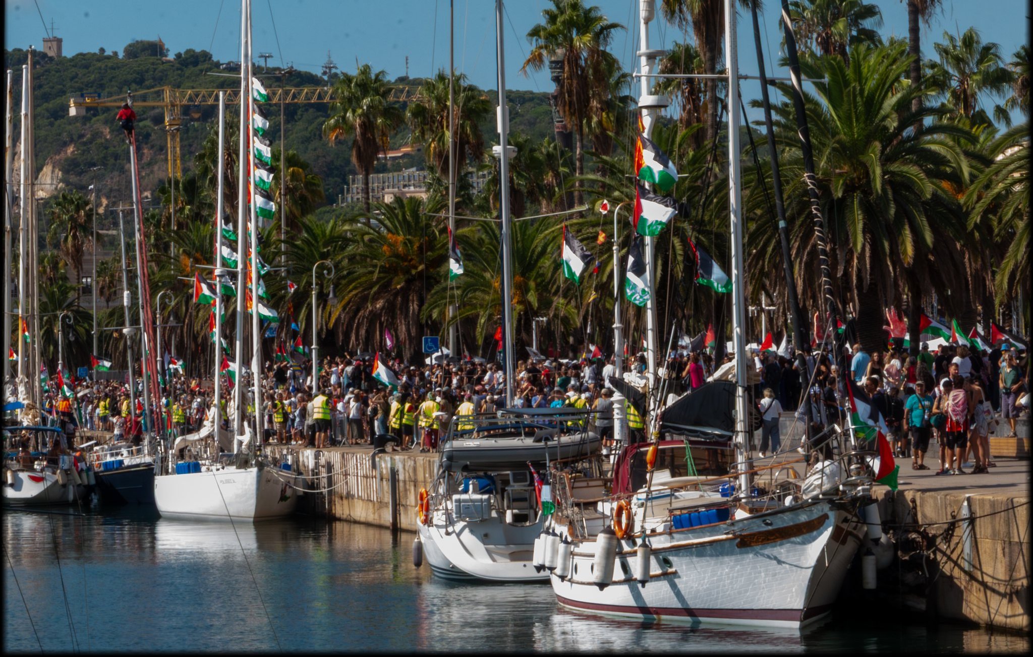 L'image montre un port animé par une belle journée ensoleillée. On peut voir des voiliers amarrés le long d'un quai pavé. Les bateaux sont décorés de drapeaux colorés, notamment des drapeaux verts, rouges et blancs. Sur le quai, une foule nombreuse est rassemblée, avec des personnes portant des vêtements variés, certaines brandissant des drapeaux. En arrière-plan, on aperçoit des palmiers qui ajoutent une touche tropicale à la scène. Le paysage est dominé par des collines verdoyantes, créant un cadre pittoresque et festif. L'atmosphère semble joyeuse et pleine d'énergie, suggérant un événement ou une célébration en cours.