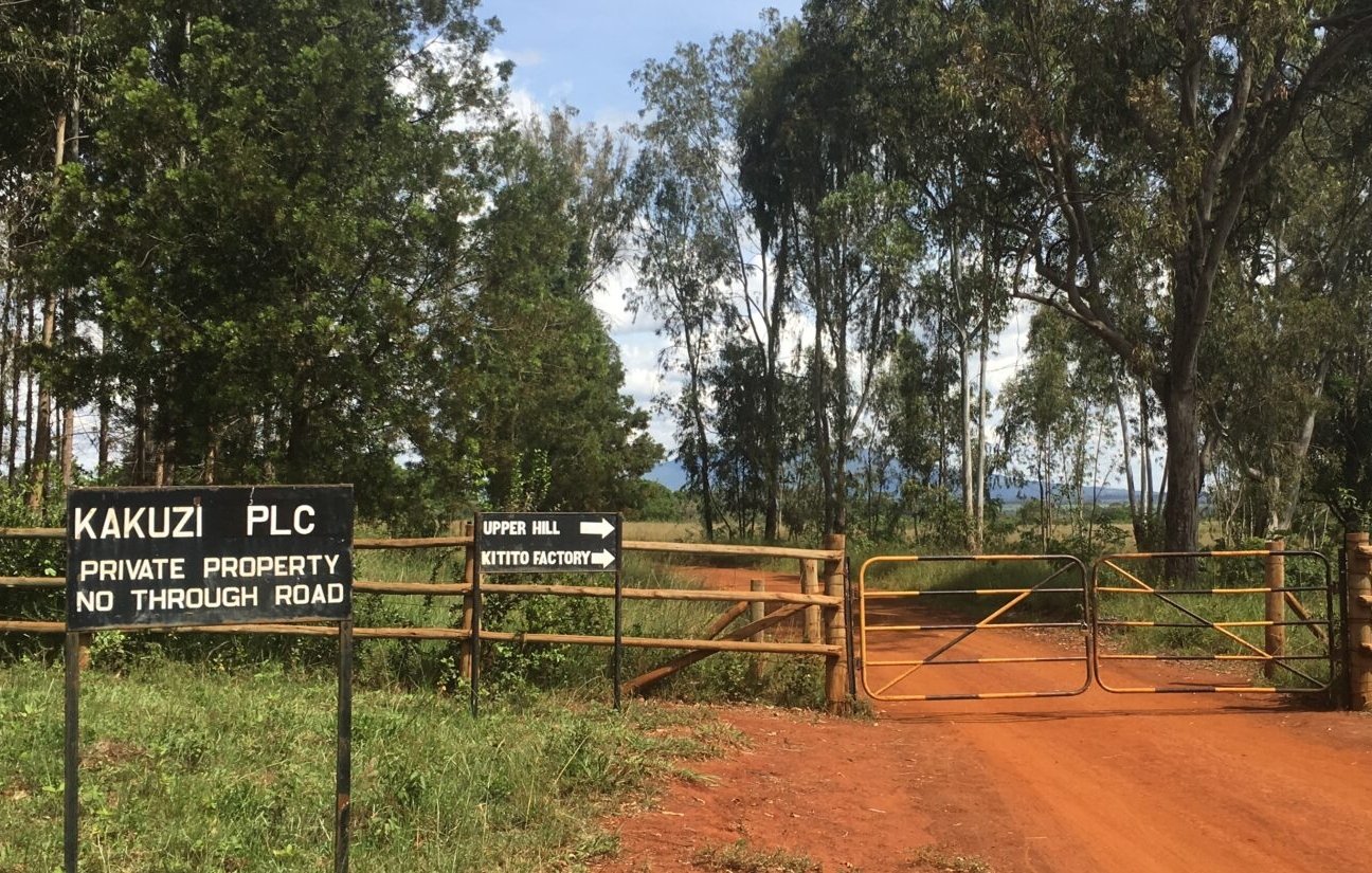 L'image montre une vue d'une rue d'accès menant à une propriété privée, entourée de végétation. À gauche, un panneau indique "KAKUZI PLC" et précise que c'est une propriété privée avec "NO THROUGH ROAD" (pas de passage autorisé). Le sol est recouvert de terre rouge, et une clôture en bois avec une porte fermée marque l'entrée. Derrière la clôture, on aperçoit des arbres feuillus qui encadrent le chemin. À droite, un panneau indique la direction vers "UPPER HILL" et une "KITTO FACTORY", ajoutant une touche d'orientation au paysage. Le ciel est clair avec quelques nuages épars.