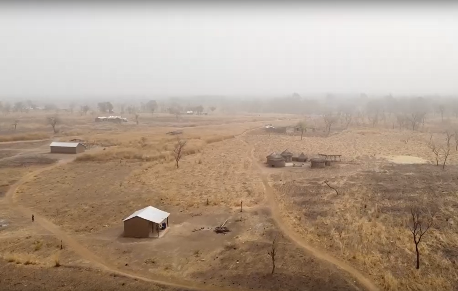 Imaginez un paysage sauvage où la nature se déploie dans toute sa variété. Devant vous, le sol est recouvert d'une terre rougeâtre, légèrement ondulée, parsemée d'herbes sèches et de feuillages clairsemés. Quelques arbres majestueux se dressent, leurs silhouettes se découpant sur un ciel clair. À gauche, un arbre nu, dont les branches s'élèvent vers le ciel, témoigne de la saison sèche. Sur votre droite, un autre arbre, encore partiellement feuillu, apporte une touche de verdure. Le paysage est apaisant, bercé par le murmure d'une eau stagnante à proximité, où quelques oiseaux pourraient se rassembler. L'air est chaud, chargé de l'odeur des plantes et de la terre, et l'ambiance respire la tranquillité typique des régions rurales.