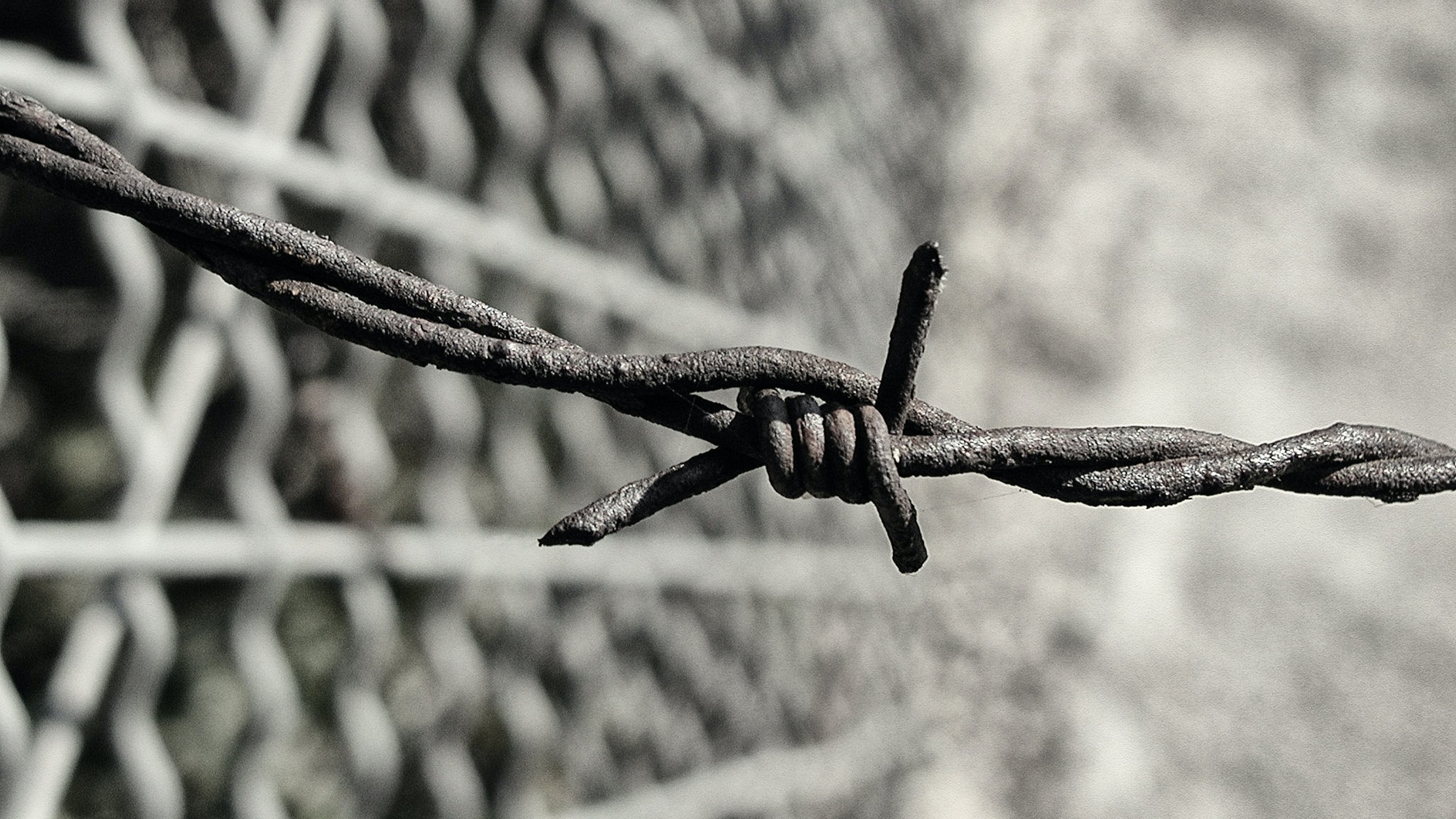 Cette image montre un gros plan de fil de fer barbelé. Le fil est tortueux et comporte des nœuds en spirale, créant un effet de barrière. Le fond est flou, avec une structure en grillage qui se dessine, indiquant que le fil de fer est peut-être installé pour délimiter un espace ou empêcher l'accès. La texture du fil semble rugueuse et rustique, ajoutant une impression de dureté et de résistance.