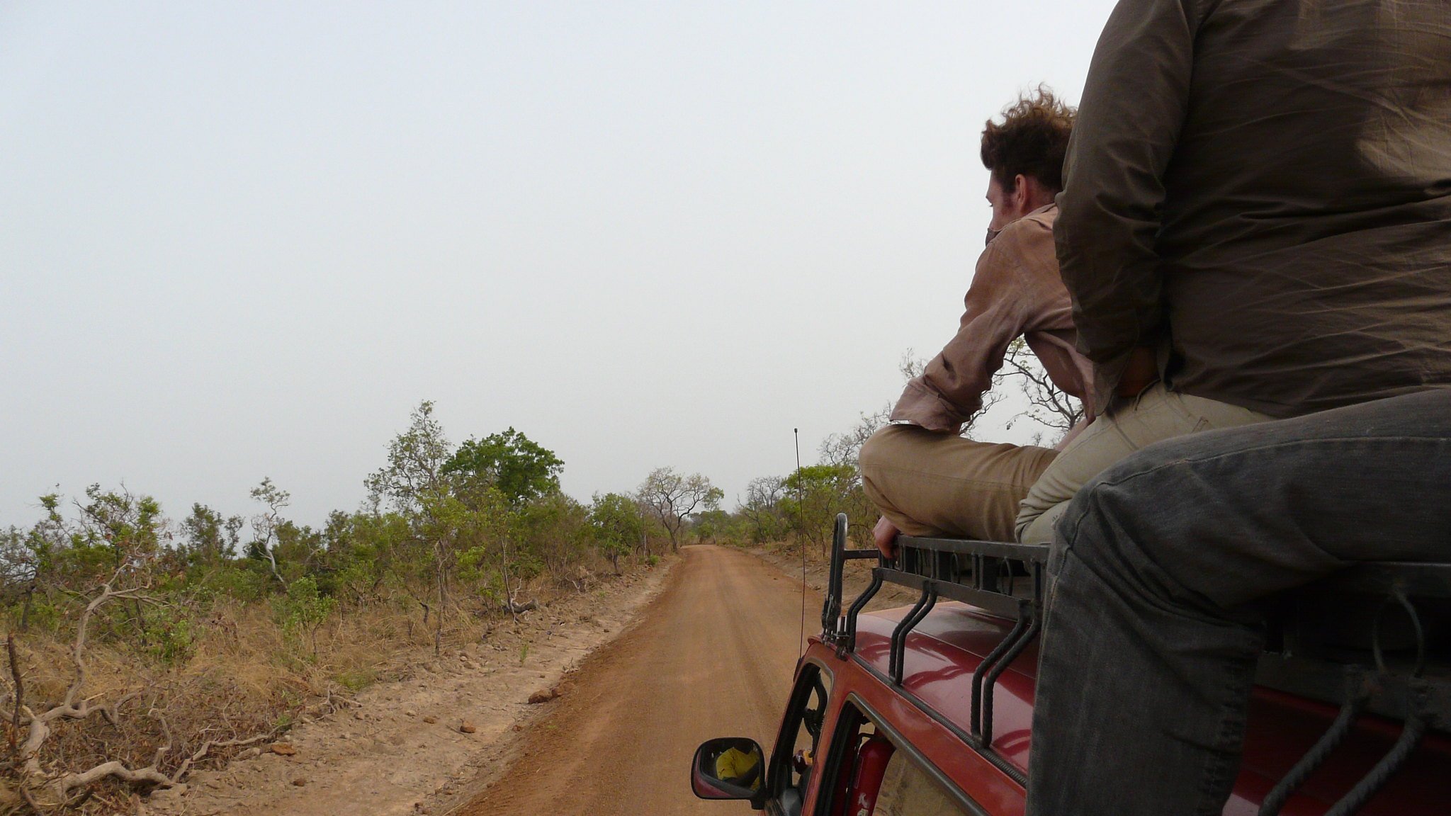 Imaginez un paysage d'arrière-pays, où un chemin de terre étroit s'étend devant vous. Sur les côtés, on peut voir de petites plantes et des buissons épars, témoignant d'une nature sauvagement préservée. La route est poussiéreuse et légèrement sinueuse, suggestive d'une aventure en milieu rural. Deux personnes sont assises sur le toit d'un véhicule, l'une d'elles se penche en arrière, le regard perdu au loin. La scène évoque un sentiment de liberté et d'exploration. L'air est probablement chargé de chaleur et du bruit léger de la nature environnante. Les couleurs sont chaudes, avec des teintes de rouge et de brun du sol, et un ciel lumineux qui crée une ambiance de voyage au cœur de la nature.