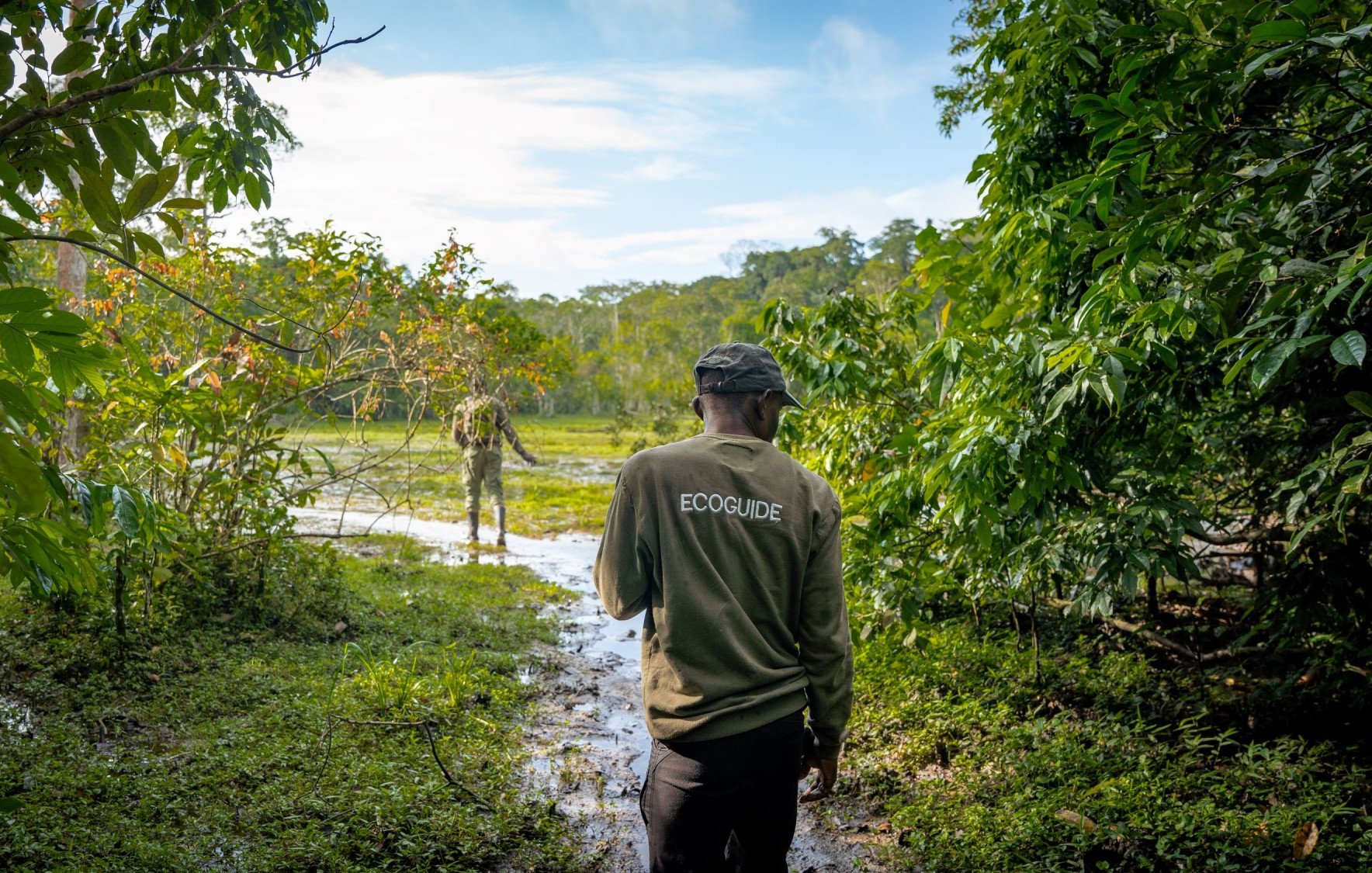 Dans cette image, nous voyons un paysage naturel luxuriant. Au premier plan, un guide, portant un vêtement avec l'inscription "ECOGUIDE", se tient de dos. Il marche sur un sentier marécageux entouré de feuillage verdoyant. À l'arrière-plan, on aperçoit une autre silhouette, probablement un autre guide ou un observateur, qui semble interagir avec la nature. Le ciel est clair avec quelques nuages, laissant transparaître une belle lumière naturelle, ajoutant à l'atmosphère paisible de cet environnement sauvage. L'ensemble évoque une expérience immersive dans la nature, riche en biodiversité et en découverte.
