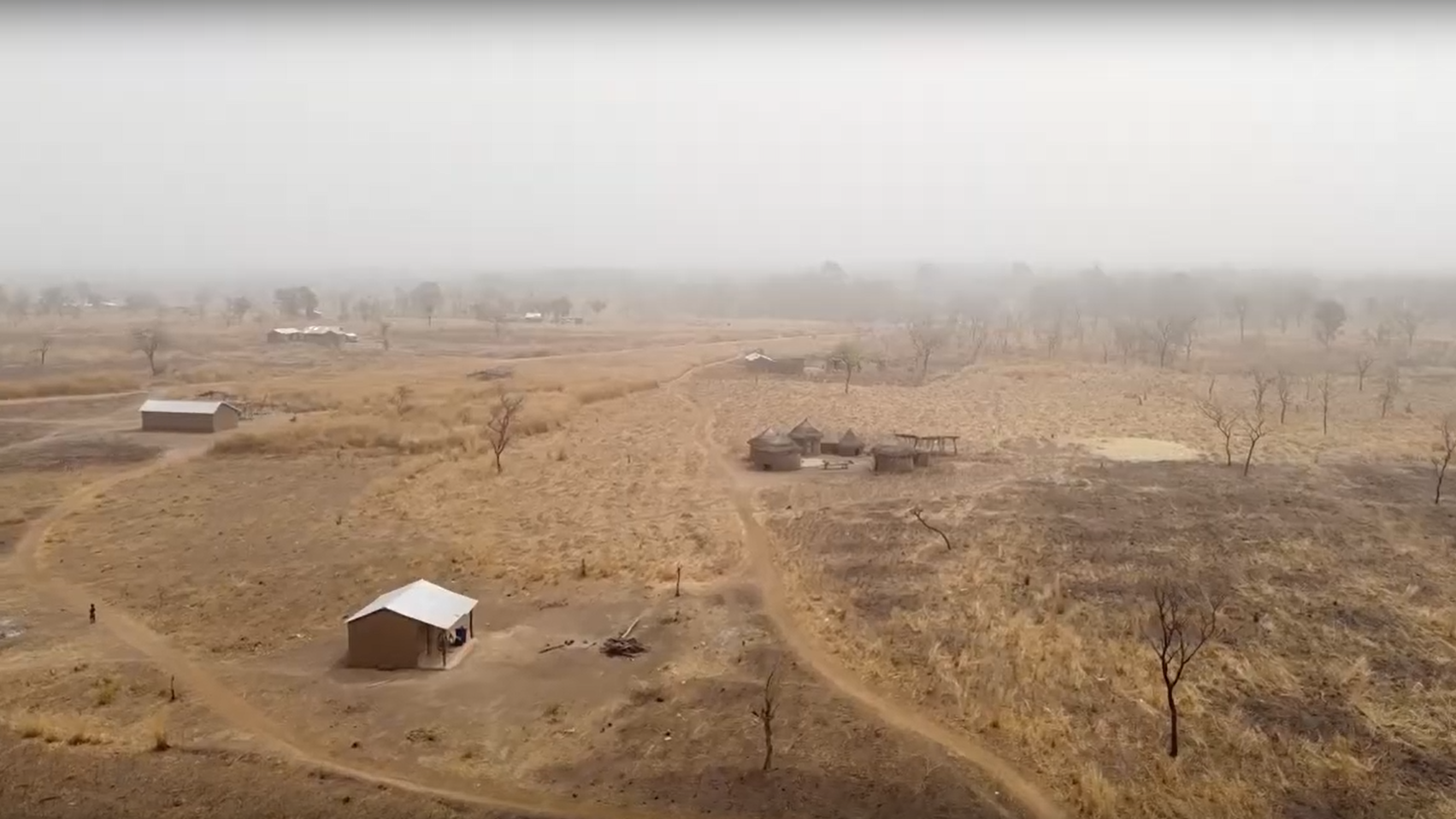 Imaginez un paysage sauvage où la nature se déploie dans toute sa variété. Devant vous, le sol est recouvert d'une terre rougeâtre, légèrement ondulée, parsemée d'herbes sèches et de feuillages clairsemés. Quelques arbres majestueux se dressent, leurs silhouettes se découpant sur un ciel clair. À gauche, un arbre nu, dont les branches s'élèvent vers le ciel, témoigne de la saison sèche. Sur votre droite, un autre arbre, encore partiellement feuillu, apporte une touche de verdure. Le paysage est apaisant, bercé par le murmure d'une eau stagnante à proximité, où quelques oiseaux pourraient se rassembler. L'air est chaud, chargé de l'odeur des plantes et de la terre, et l'ambiance respire la tranquillité typique des régions rurales.