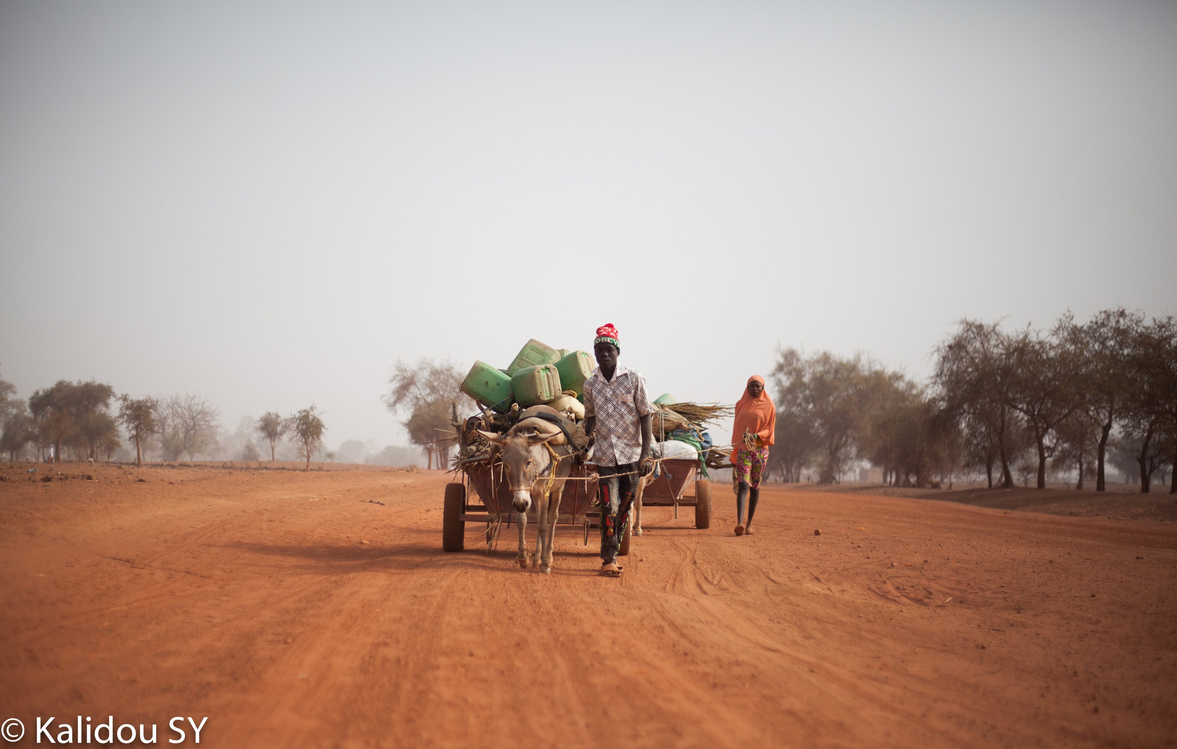 L'image montre une scène dans un paysage rural, probablement en milieu désertique. Au premier plan, on voit un homme marchant à côté d'une charrette tirée par unâne. La charrette est chargée de divers objets, probablement des seaux et des provisions. À l'arrière-plan, une autre personne, vêtue d'un habit distinctif, avance sur le chemin poussiéreux. Le sol est rougeâtre, typique des régions sahéliennes, et quelques arbres dispersés ajoutent une touche de verdure au tableau. L'ambiance générale semble calme et méditative, évoquant une vie simple et traditionnelle.