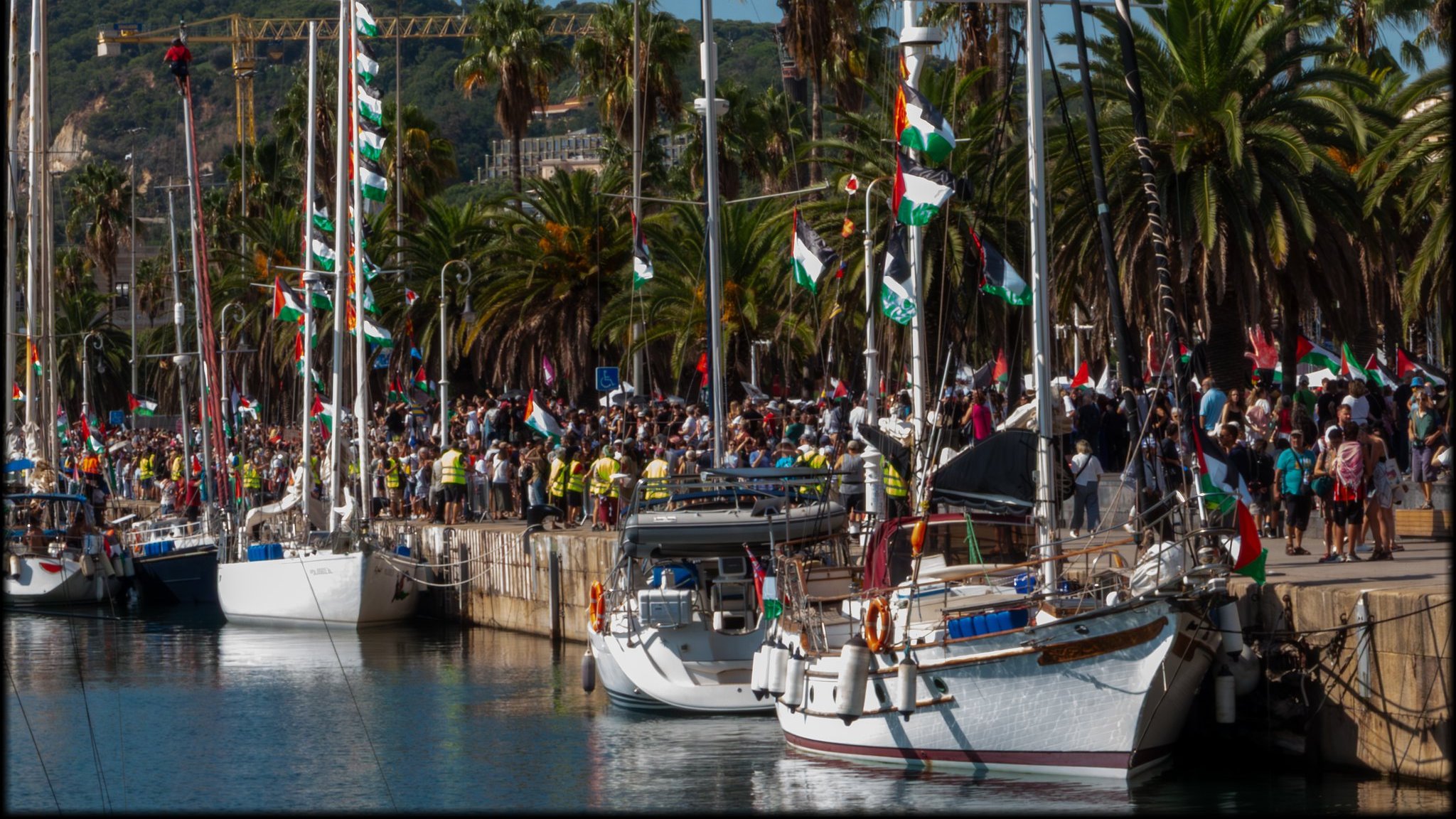 L'image montre un port animé par une belle journée ensoleillée. On peut voir des voiliers amarrés le long d'un quai pavé. Les bateaux sont décorés de drapeaux colorés, notamment des drapeaux verts, rouges et blancs. Sur le quai, une foule nombreuse est rassemblée, avec des personnes portant des vêtements variés, certaines brandissant des drapeaux. En arrière-plan, on aperçoit des palmiers qui ajoutent une touche tropicale à la scène. Le paysage est dominé par des collines verdoyantes, créant un cadre pittoresque et festif. L'atmosphère semble joyeuse et pleine d'énergie, suggérant un événement ou une célébration en cours.