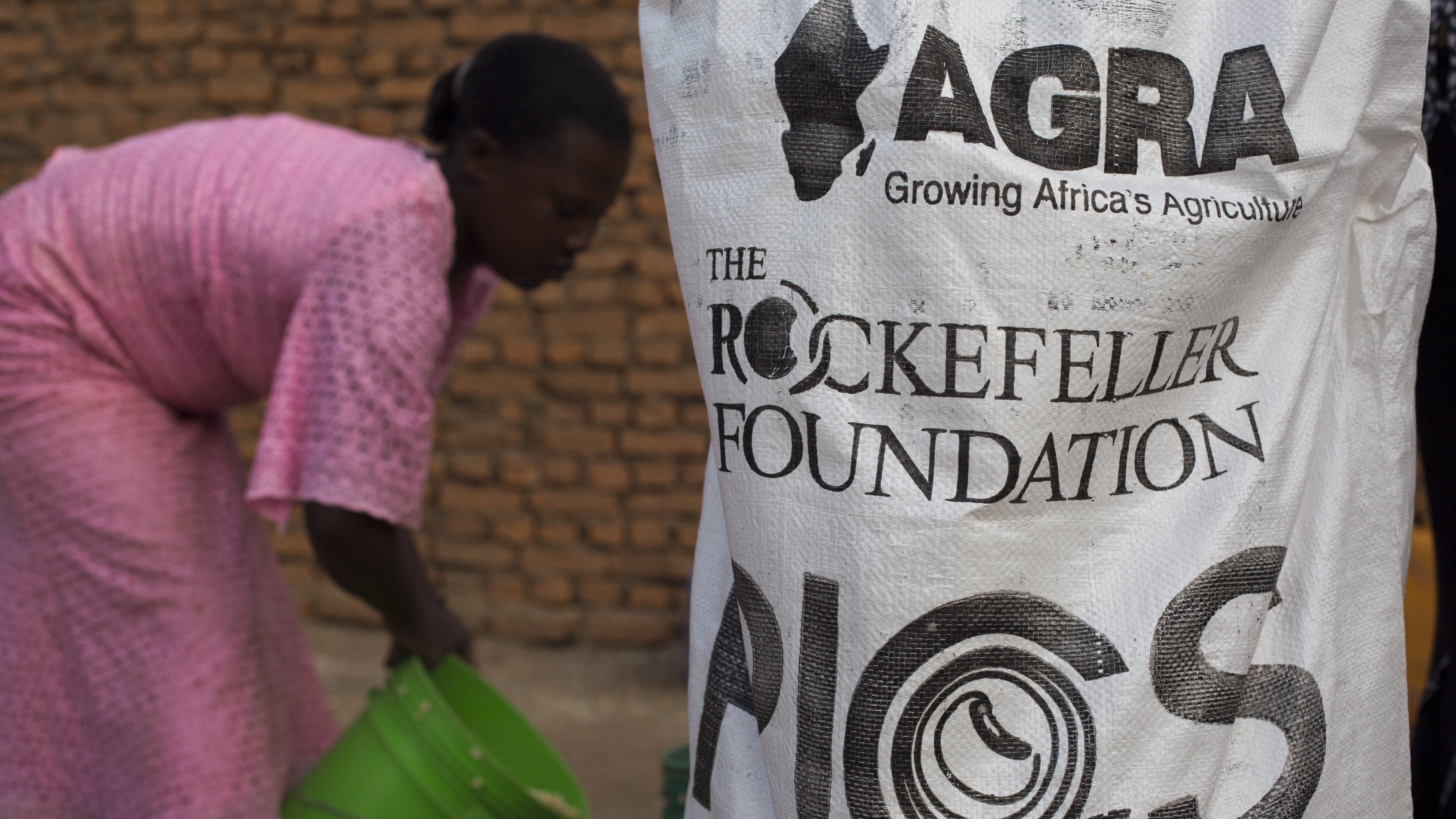 Sur l'image, on peut voir une femme vêtue d'une robe rose, penchée en train de remplir un seau vert. Elle est dans un environnement extérieur, peut-être une zone de travail ou d'agriculture. À l'avant-plan, un grand sac en plastique est visible, portant les logos de l'AGRA (Alliance for a Green Revolution in Africa) et de la Fondation Rockefeller, ainsi que l'inscription "PICS". Ce sac semble contenir des produits liés à l'agriculture. L'ambiance générale évoque une activité de soutien à l'agriculture, probablement liée à la cohésion communautaire et au développement durable. Le fond est constitué de briques, suggérant un cadre simple et rural.