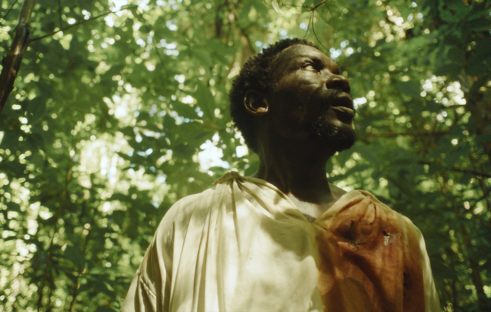 L'image montre un homme debout dans une jungle luxuriante. Il porte une tunique légère, dont une partie est tachée de rouge, suggérant un événement émotionnel ou tragique. Le visage de l'homme exprime la surprise ou l'inquiétude, avec des traits marqués par la lumière douce qui filtre à travers le feuillage dense. Les feuilles vertes et les ombres créent une atmosphère à la fois mystérieuse et intense, plongeant le spectateur dans l'ambiance d'une nature vibrante et sauvage. On peut imaginer les sons de la jungle, comme le chant des oiseaux et le bruissement des feuilles, qui entourent l'homme.