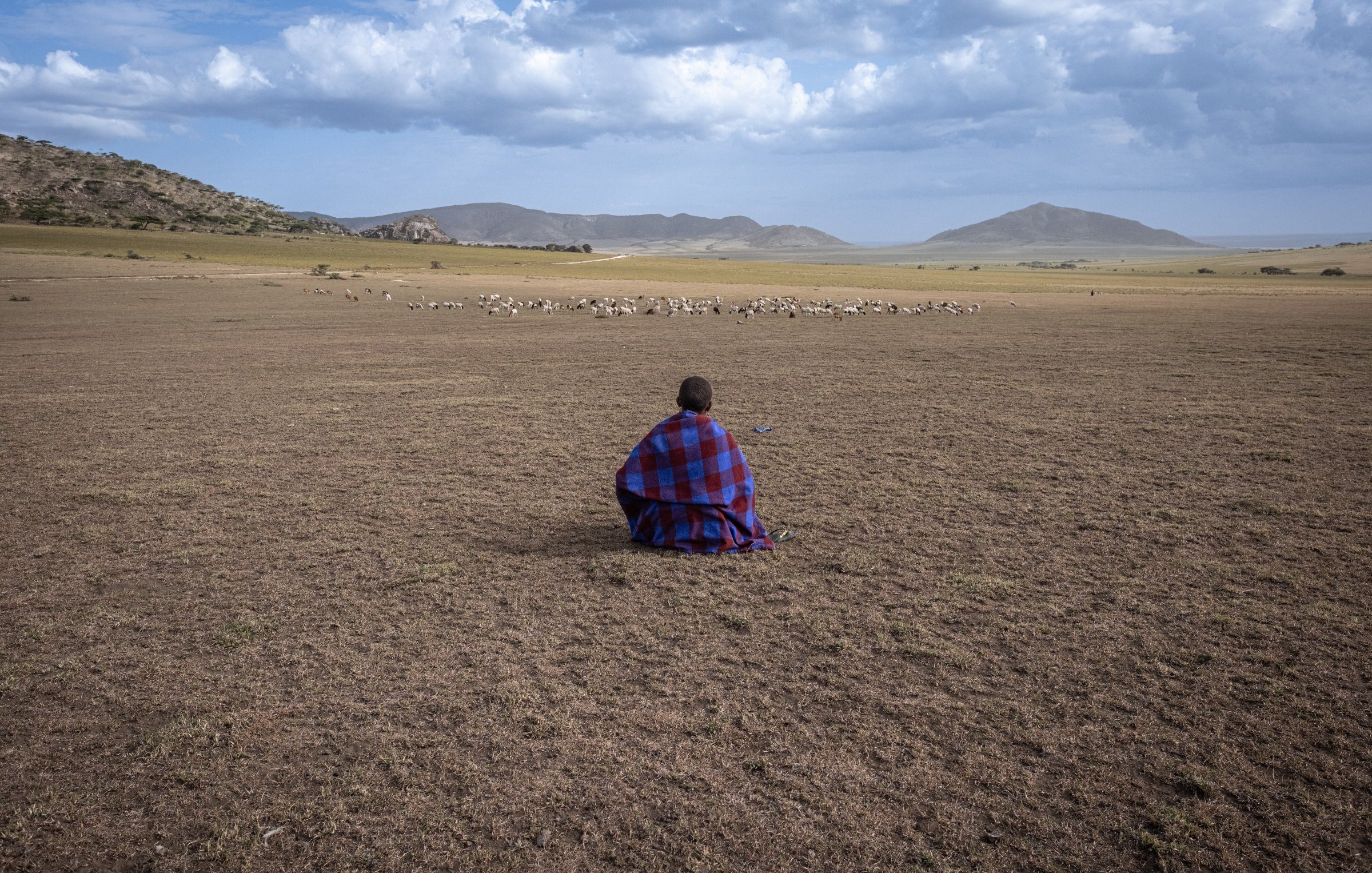 L'image montre un vaste paysage ouvert, probablement dans une région africaine. Au premier plan, on voit une personne assise, portant un vêtement traditionnel aux motifs colorés, principalement rouge et bleu. Elle est tournée vers un groupe d'animaux, probablement des moutons, qui paissent à une certaine distance. Le sol est sec et herbeux, et l'arrière-plan présente des collines douces sous un ciel partiellement nuageux. L'ambiance dégage une impression de tranquillité et de connexion à la nature.