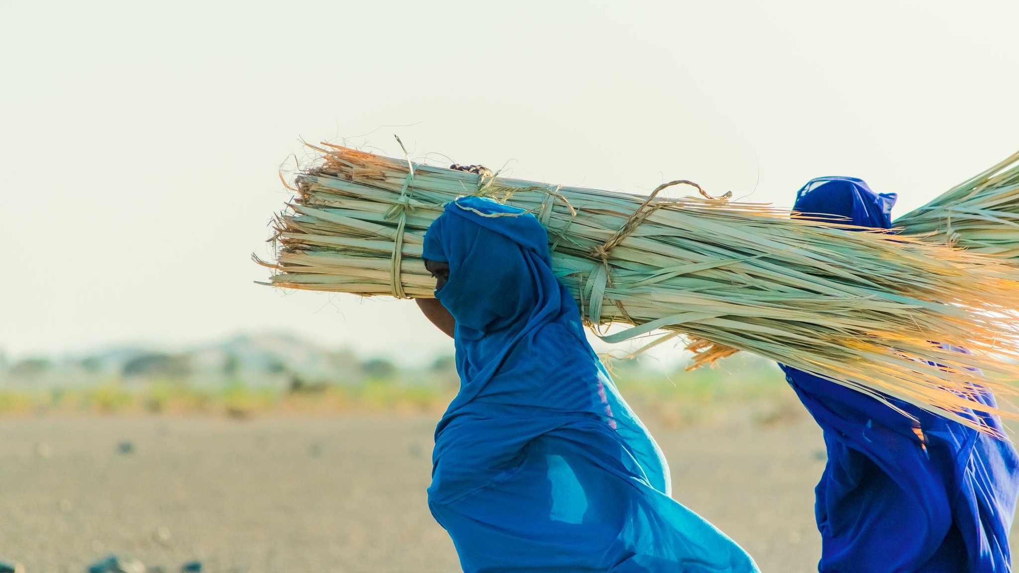 L'image représente deux personnes portant de lourdes charges de tiges de plantes sur leurs épaules. Elles sont habillées de longues robes, l'une en bleu clair et l'autre en bleu foncé. Leurs visages sont en partie voilés, ce qui renvoie à une culture particulière. La scène se déroule en extérieur, sur un terrain aride, avec des collines en arrière-plan et un ciel lumineux. L'atmosphère semble sereine, mettant en valeur l'effort des travailleurs dans un environnement naturel.