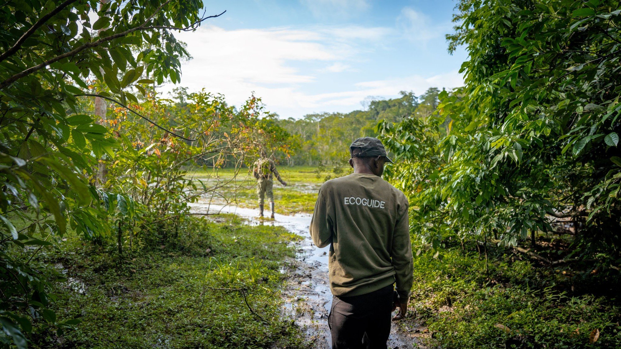 Dans cette image, nous voyons un paysage naturel luxuriant. Au premier plan, un guide, portant un vêtement avec l'inscription "ECOGUIDE", se tient de dos. Il marche sur un sentier marécageux entouré de feuillage verdoyant. À l'arrière-plan, on aperçoit une autre silhouette, probablement un autre guide ou un observateur, qui semble interagir avec la nature. Le ciel est clair avec quelques nuages, laissant transparaître une belle lumière naturelle, ajoutant à l'atmosphère paisible de cet environnement sauvage. L'ensemble évoque une expérience immersive dans la nature, riche en biodiversité et en découverte.