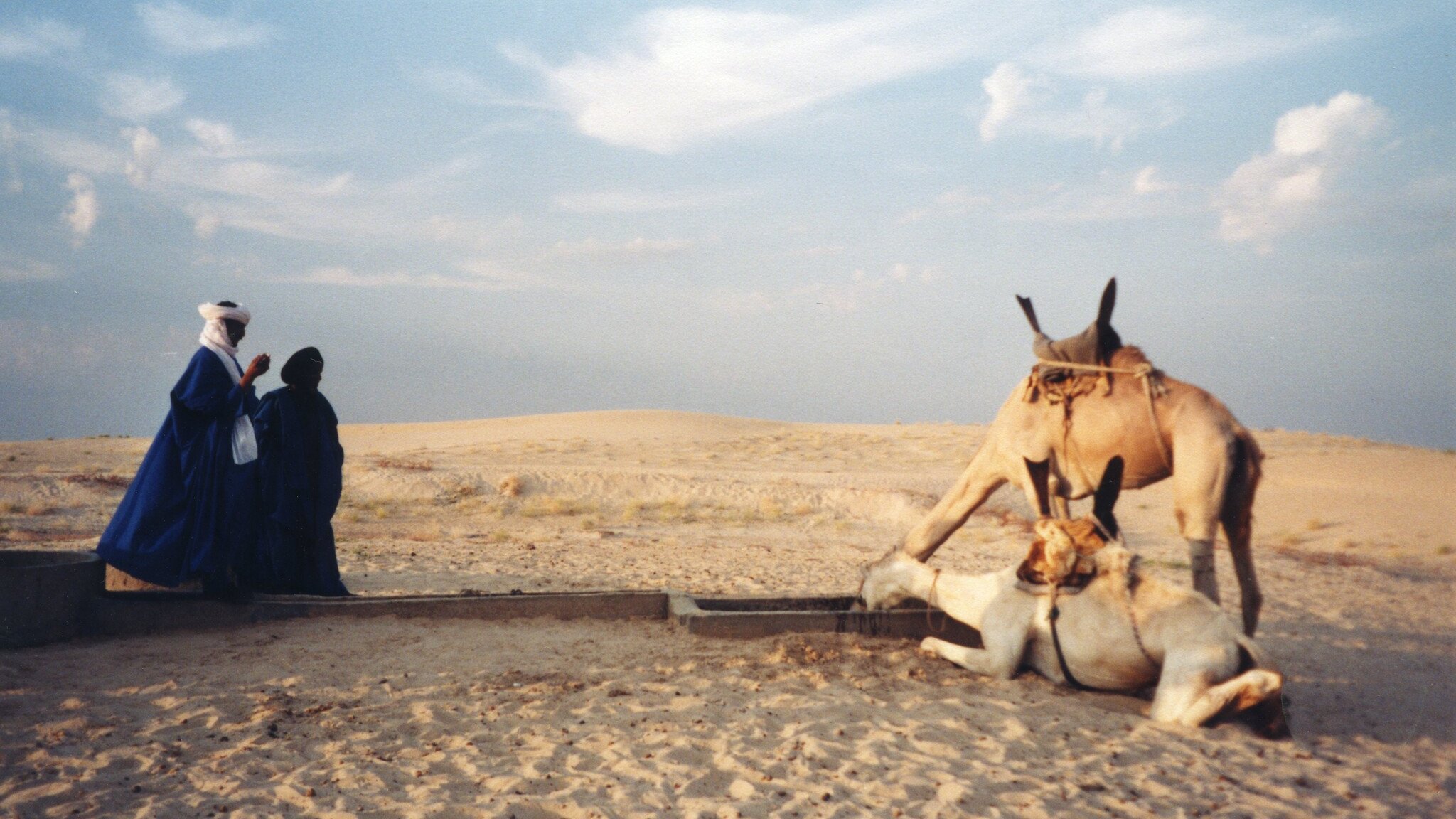 L'image montre un paysage désertique, caractérisé par des dunes de sable qui s'étendent à perte de vue sous un ciel légèrement nuageux. Au premier plan, deux personnes, habillées de vêtements traditionnels, se tiennent près d'un point d'eau. L'une d'elles, en bleu, semble prier ou méditer. À proximité, un chameau repose tranquillement sur le sol, tandis qu'un autre chameau se penche pour boire. L'ambiance de la scène est paisible, avec une lumière douce qui souligne les formes des dunes et des silhouettes. Les sons du désert, comme le vent léger, pourraient renforcer cette atmosphère sereine.