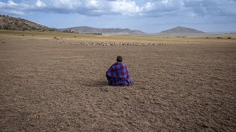 L'image montre un vaste paysage ouvert, probablement dans une région africaine. Au premier plan, on voit une personne assise, portant un vêtement traditionnel aux motifs colorés, principalement rouge et bleu. Elle est tournée vers un groupe d'animaux, probablement des moutons, qui paissent à une certaine distance. Le sol est sec et herbeux, et l'arrière-plan présente des collines douces sous un ciel partiellement nuageux. L'ambiance dégage une impression de tranquillité et de connexion à la nature.