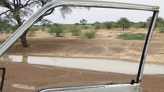 L'image montre le cadre ouvert d'une porte de véhicule, donnant sur un paysage désertique. À l'extérieur, on peut voir un sol aride, parsemé d'arbres épars et de buissons verts. Une petite flaque d'eau est visible, reflétant légèrement la lumière. L'ambiance générale évoque un paysage calme et sec, typique des régions désertiques, avec des teintes de terre brune et des touches de verdure.