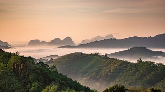 Imaginez un panorama majestueux au lever du soleil, où des collines verdoyantes s'étendent à perte de vue. Les ondulations des montagnes se dessinent doucement à l'horizon, se fondant dans une brume légère qui enveloppe le paysage. Les couleurs du ciel passent des teintes douces de rose et d'orange, créant une atmosphère paisible et sereine. La verdure des arbres et des plantes forme un contraste vivant avec la douceur des nuages. L'ensemble évoque un sentiment de tranquillité, comme si la nature se réveillait lentement sous l'éclat du jour.