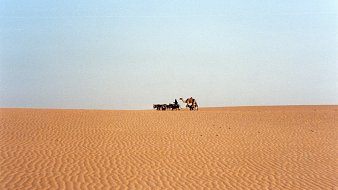 L'image montre un vaste paysage désertique. Le sol est fait de dunes de sable aux ondulations douces, créant un motif linéaire et fluide. À distance, on aperçoit un homme marchant aux côtés d'un chameau, tous deux se déplaçant lentement sur le sable. Le ciel est clair, avec une teinte douce qui contraste avec le doré du sable. L'atmosphère est paisible, presque intemporelle, évoquant l'immensité et la solitude du désert.