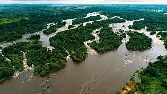 Imaginez une vaste étendue de nature sauvage, où de larges rivières serpentent à travers un écran dense de verdure. Cette scène évoque un paysage tropical, où la lumière du soleil joue sur la surface de l'eau. Les rivières, aux teintes brunes, contournent des îlots couverts d'arbres et de buissons, créant un motif harmonieux de courbes et de reflets. Au loin, des collines se dessinent, soulignant l'immensité et la richesse de cette jungle luxuriante, propice à la vie sauvage. L'air est chargé des sons apaisants de l'eau qui coule et du chant des oiseaux, rappelant l'énergie vivante de cet écosystème.