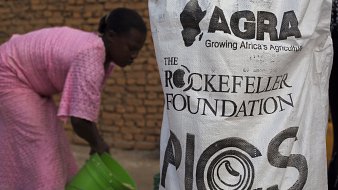 Sur l'image, on peut voir une femme vêtue d'une robe rose, penchée en train de remplir un seau vert. Elle est dans un environnement extérieur, peut-être une zone de travail ou d'agriculture. À l'avant-plan, un grand sac en plastique est visible, portant les logos de l'AGRA (Alliance for a Green Revolution in Africa) et de la Fondation Rockefeller, ainsi que l'inscription "PICS". Ce sac semble contenir des produits liés à l'agriculture. L'ambiance générale évoque une activité de soutien à l'agriculture, probablement liée à la cohésion communautaire et au développement durable. Le fond est constitué de briques, suggérant un cadre simple et rural.