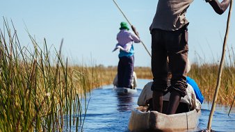 Sur cette image, on voit des personnes naviguant dans des canots en bois au milieu d'un paysage aquatique. L'eau est calme et reflète le ciel bleu. Des herbes vertes et hautes bordent le chemin, créant un contraste avec les canots. Les rames des pagayeurs, qui sont en partie flous, indiquent le mouvement. Le soleil semble briller, apportant une ambiance chaleureuse et naturelle à cette scène paisible. La composition suggère une connexion harmonieuse entre les hommes et la nature environnante.