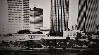 L'image présente un paysage urbain en noir et blanc, mettant en avant plusieurs gratte-ciels modernes. À gauche, on voit un bâtiment rectangulaire avec une surface lisse, tandis qu'un autre, plus haut et avec des fenêtres brillantes, est au centre. À droite, un troisième gratte-ciel, plus fin, se dresse avec des lignes verticales qui accentuent sa hauteur. Au premier plan, on aperçoit une verdure, probablement des palmiers, qui contraste avec la rigueur des bâtiments. L'ensemble dégage une ambiance à la fois dynamique et architecturale.